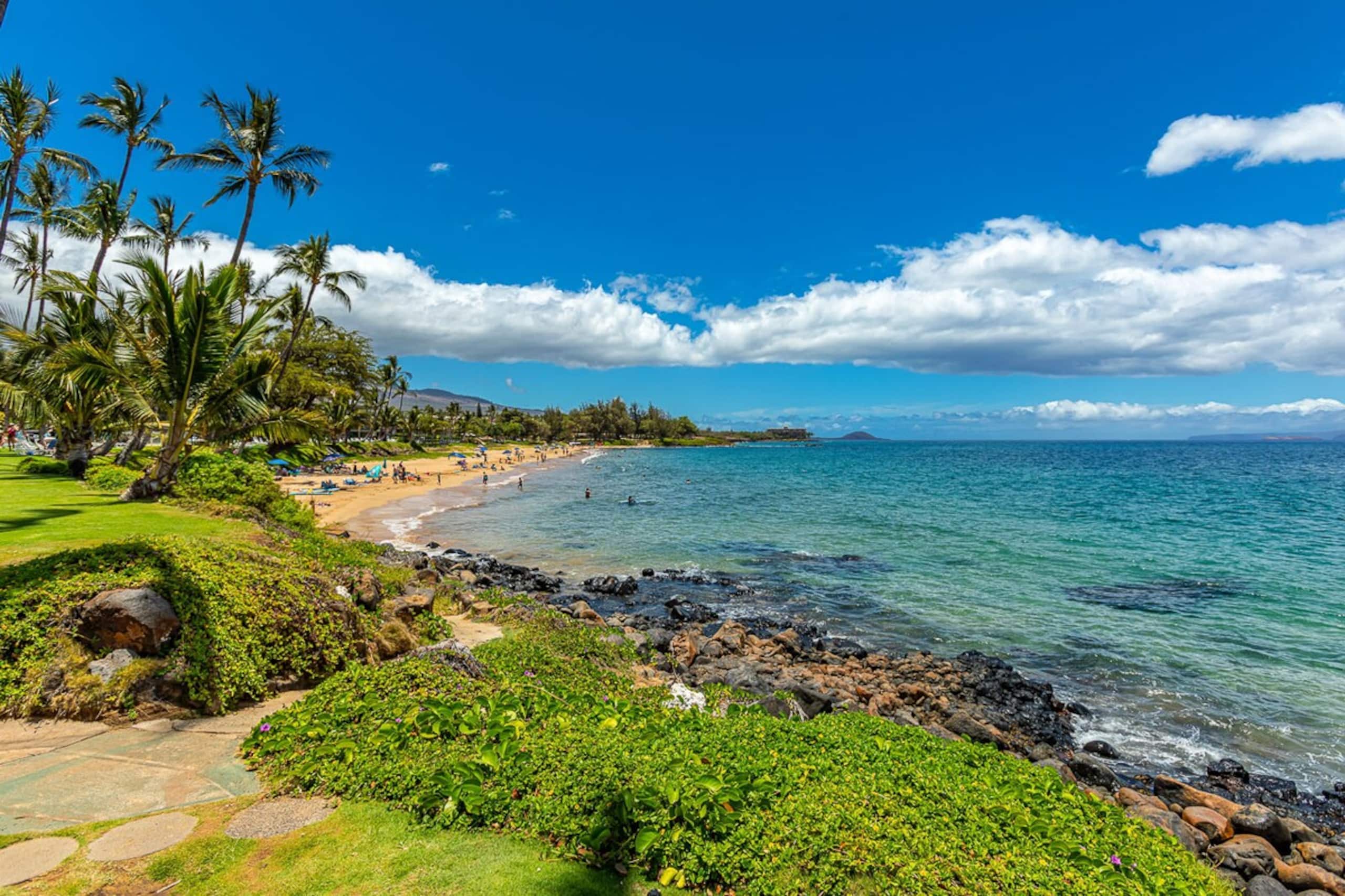 Beachfront Kihei condo w/ pool and lanai - Photo 42
