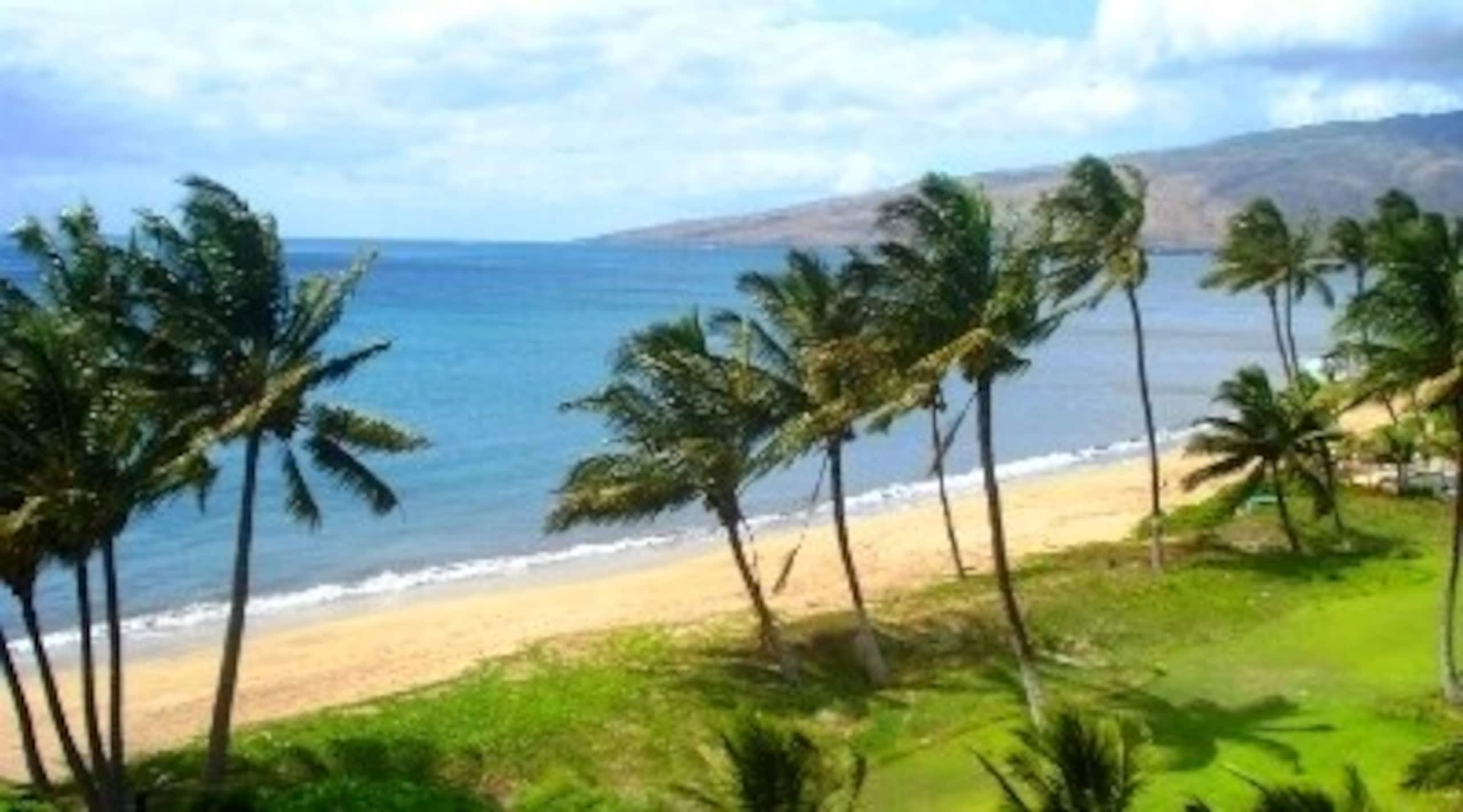 Nani Kai Hale 407 Ocean View Condo - Photo 29