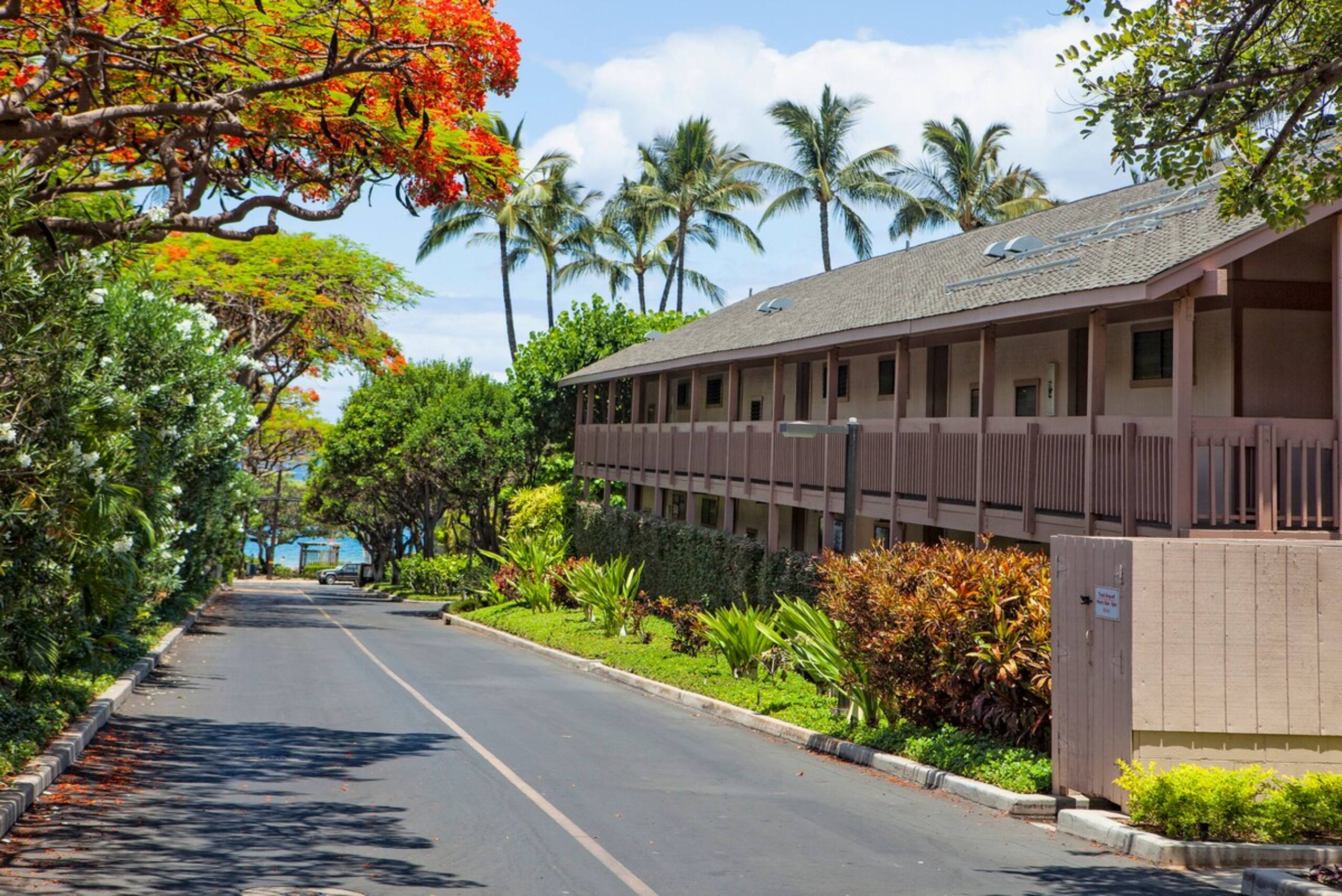 Mavi Bay luxury ocean view condo - Photo 21
