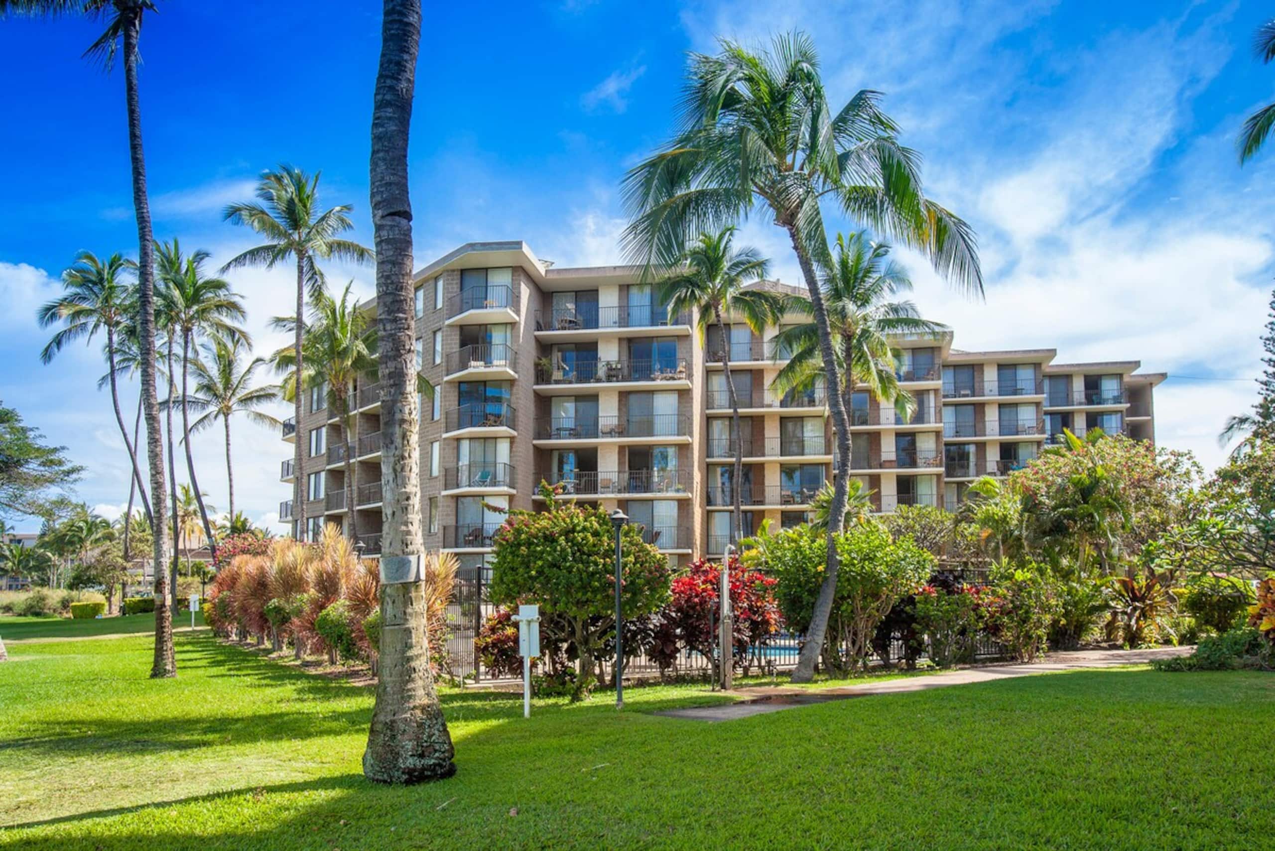 Kauhale Makai Oceanfront Condo w/ Pool & Hot Tub - Photo 28