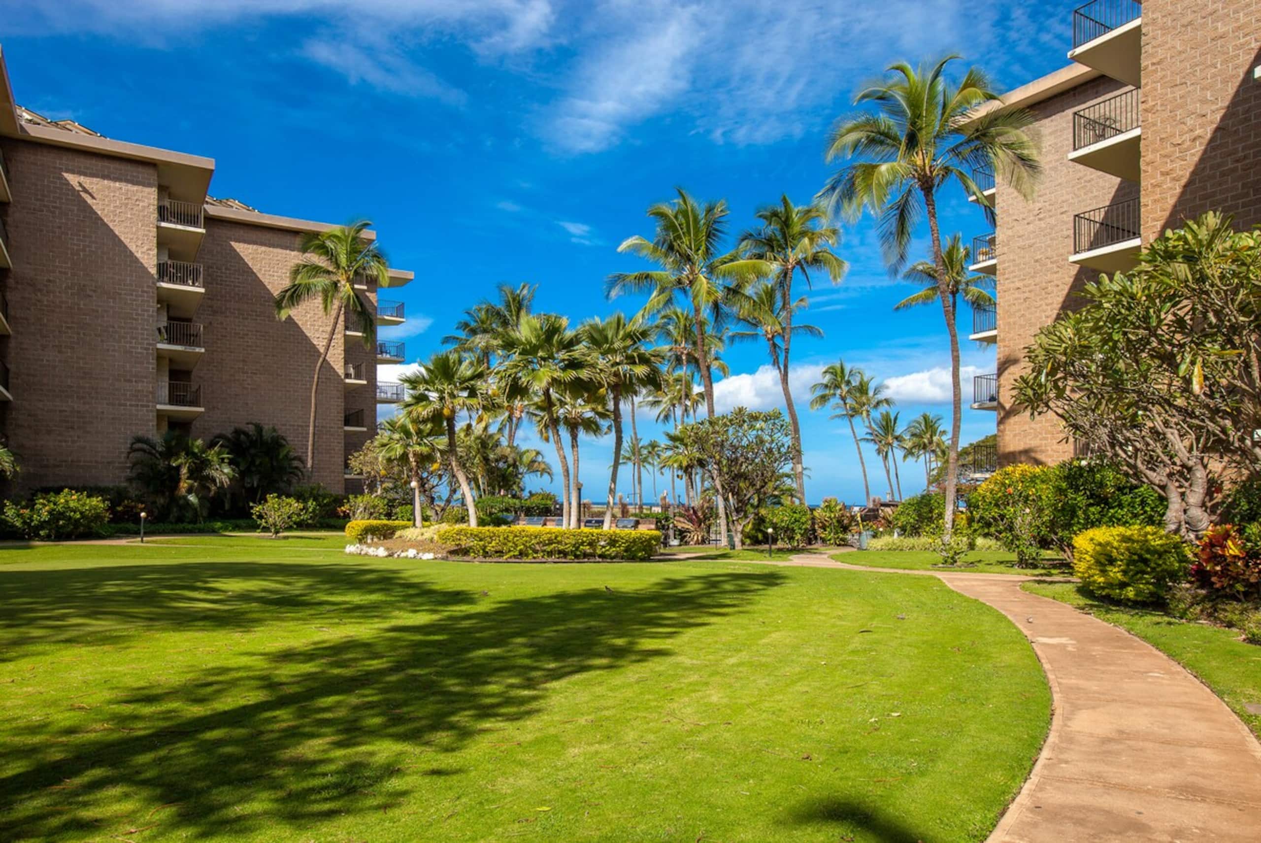 Kauhale Makai Oceanfront Condo w/ Pool & Hot Tub - Photo 38