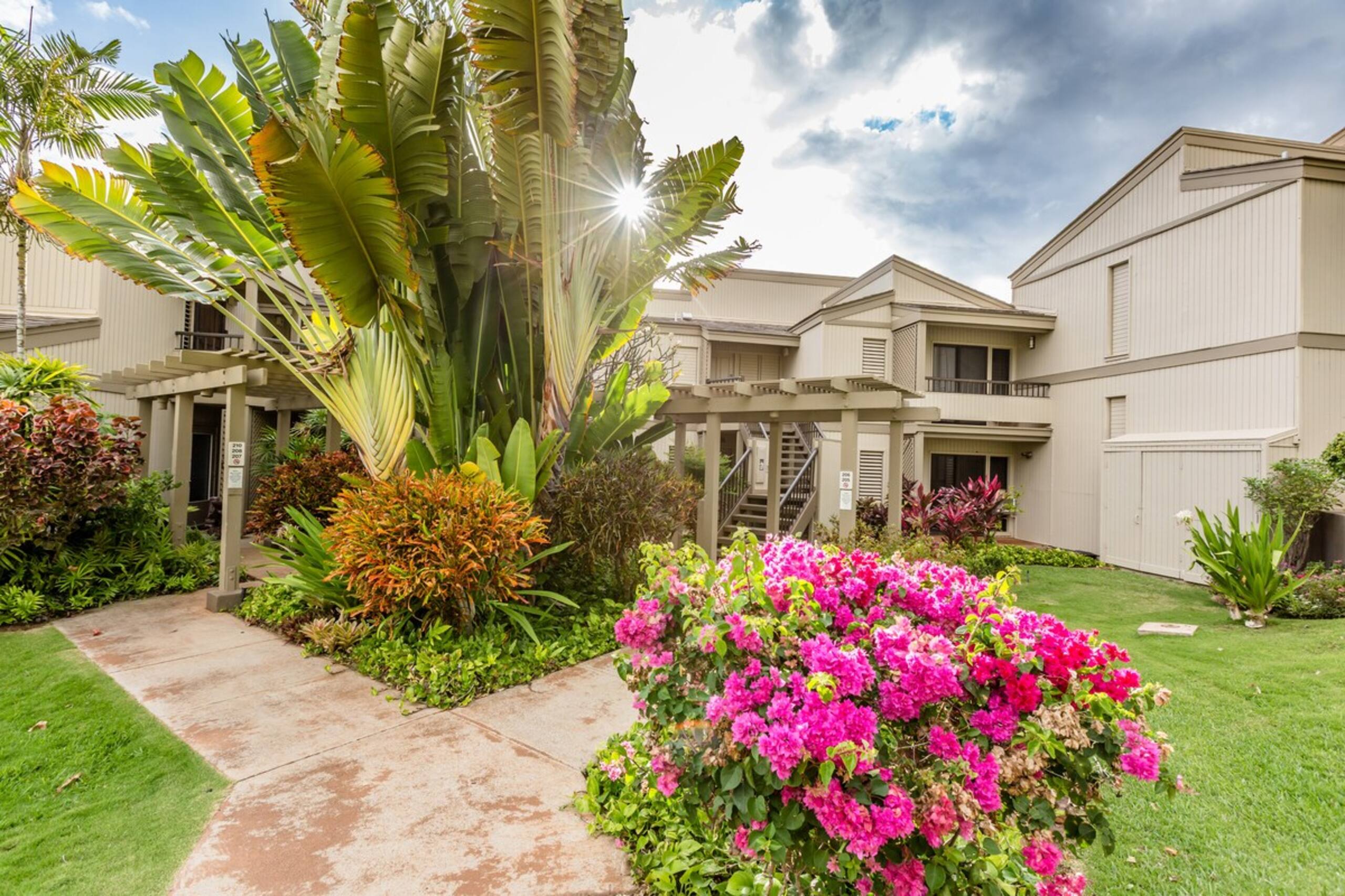 WAILEA GEMNEAR SHOPS, BEACHES,5 STAR HOTELS - Photo 19