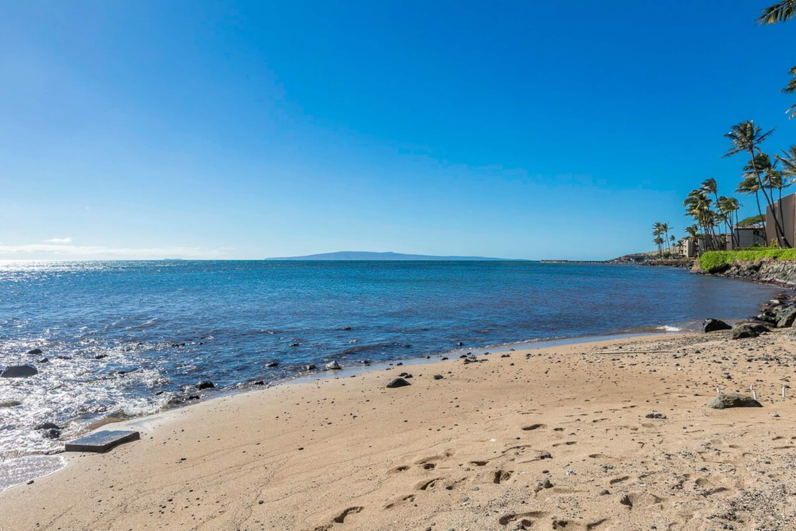 Oceanfront condo w/ whale watching views - Photo 39