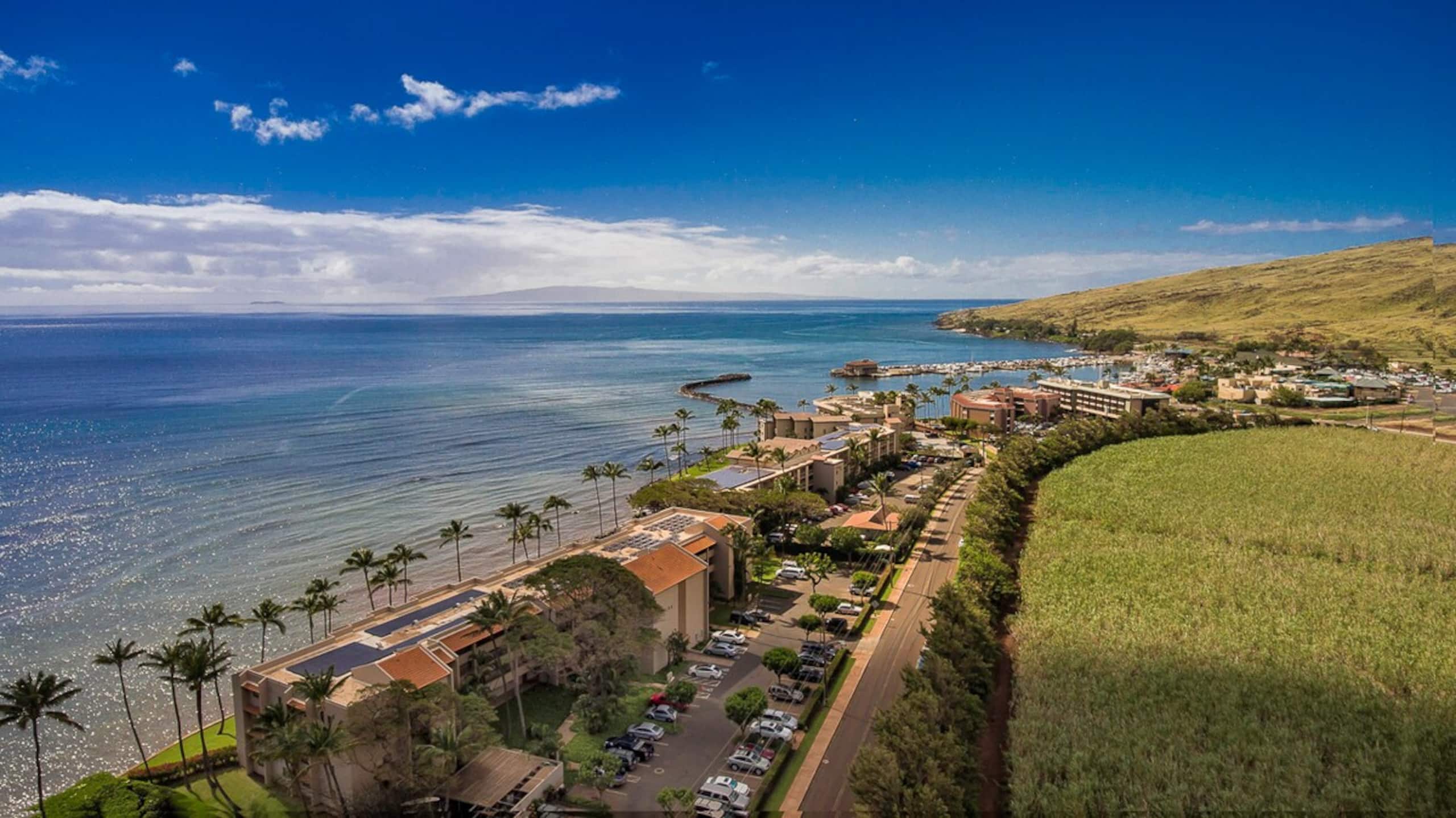 Oceanfront condo w/ whale watching views - Photo 28