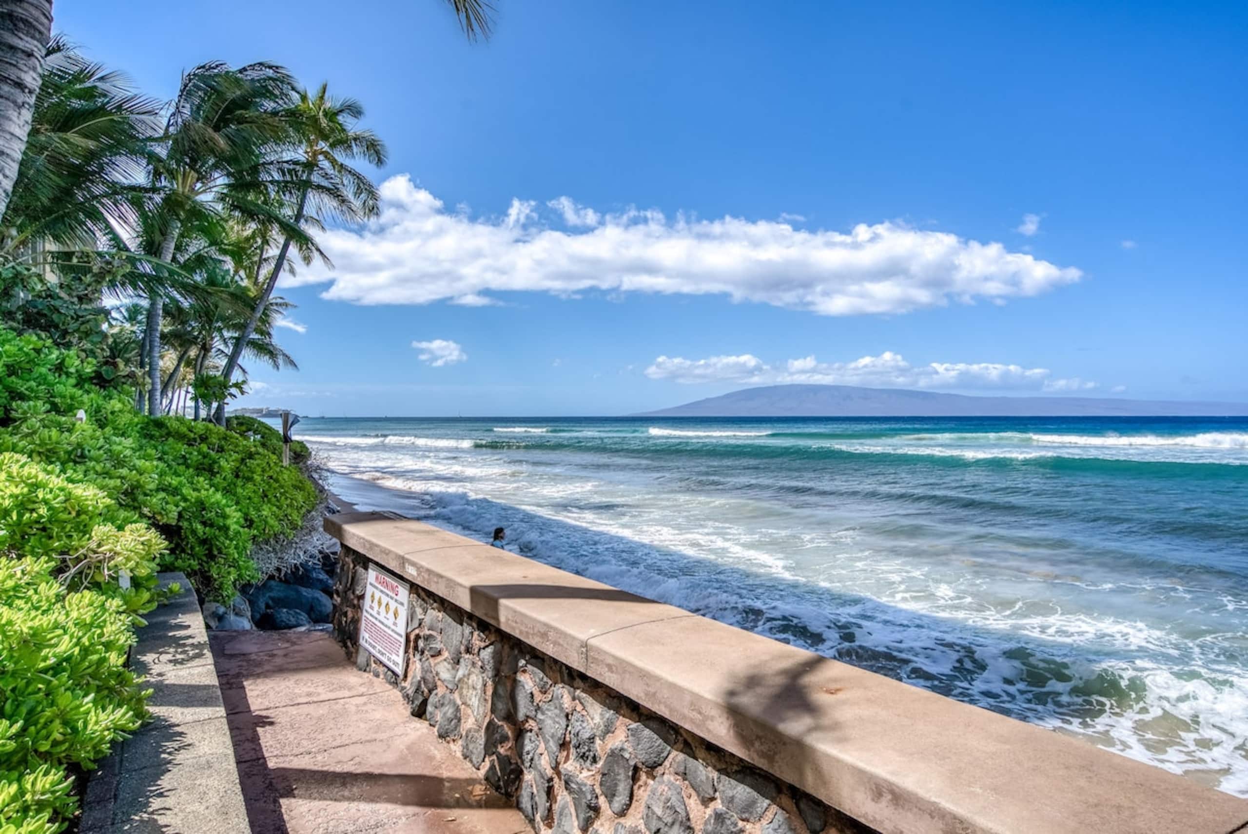 Oceanfront studio w/ lanai and sunset views - Photo 47