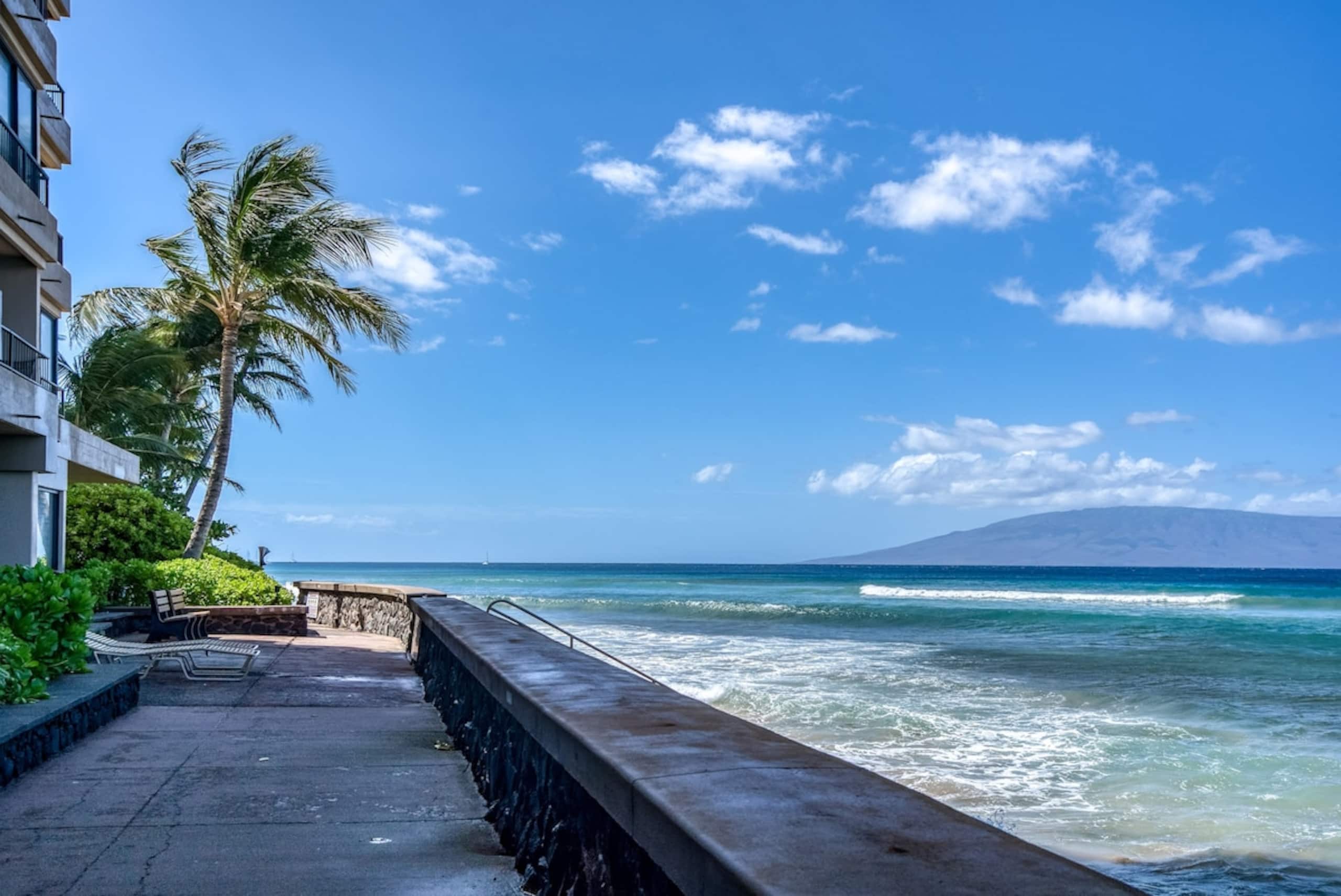 Oceanfront studio w/ lanai and sunset views - Photo 49
