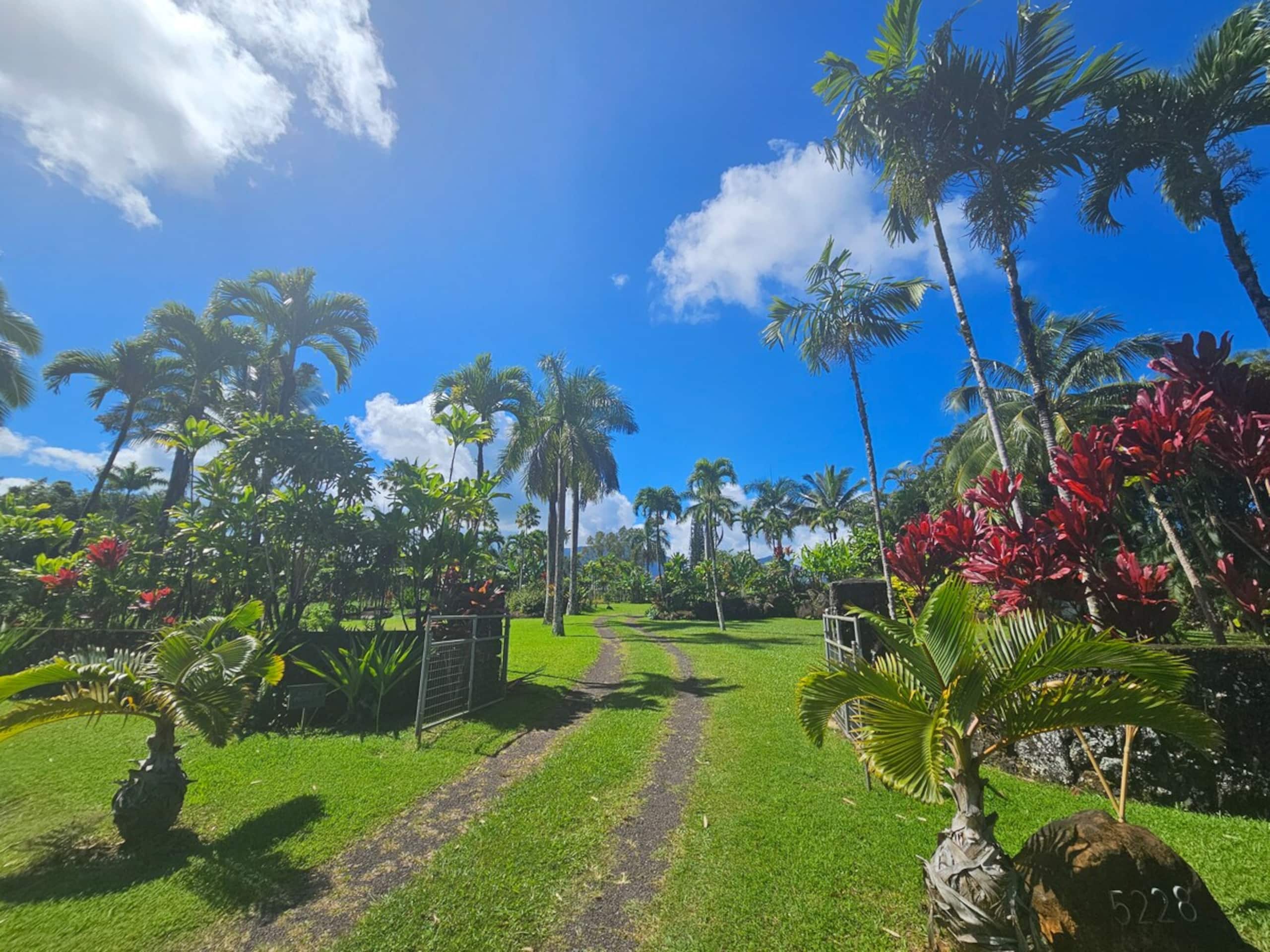Newly Remodeled Hawaii Paradise -North Shore Kauai - Photo 80