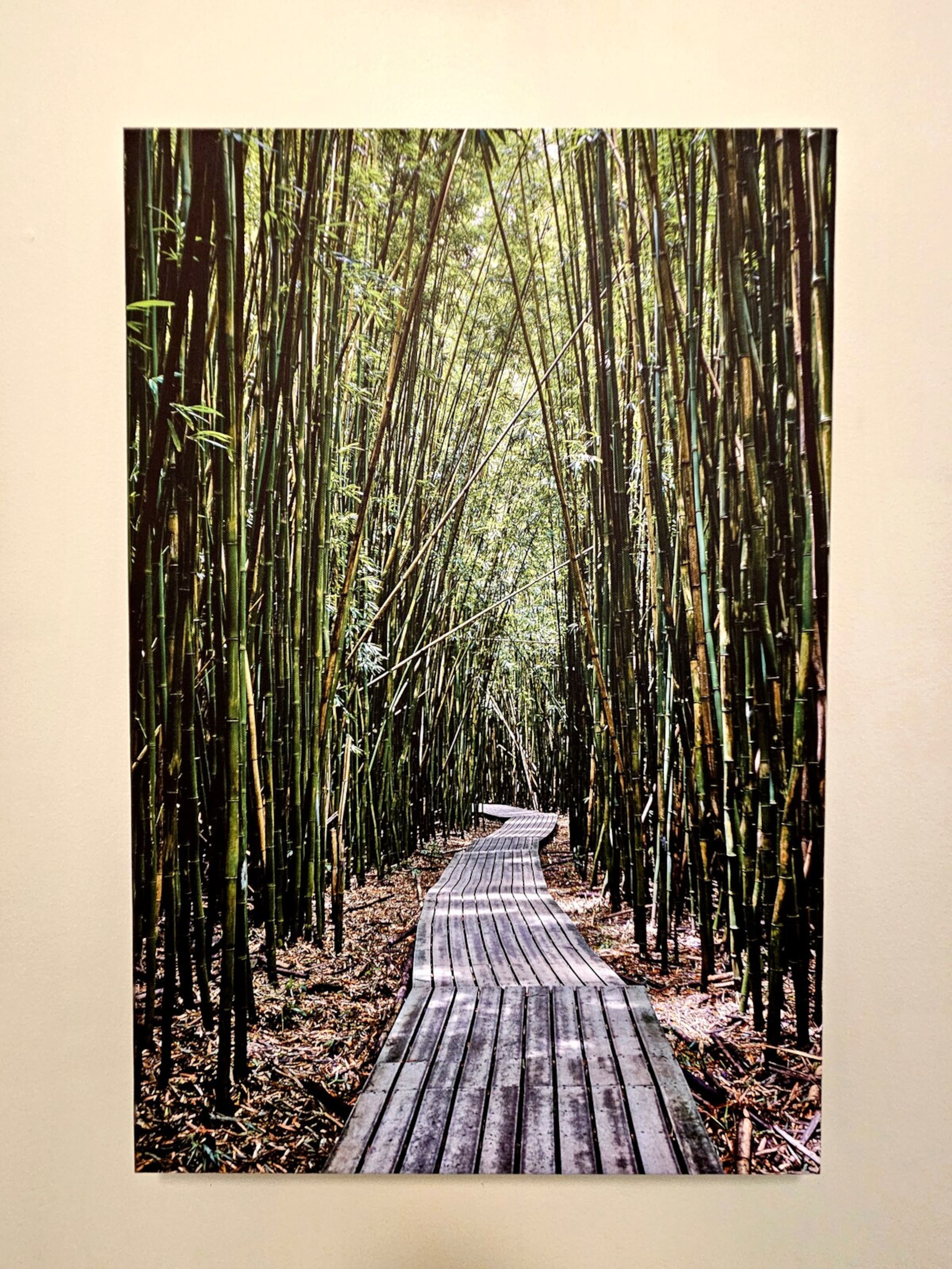 Newly Remodeled Hawaii Paradise -North Shore Kauai - Photo 45