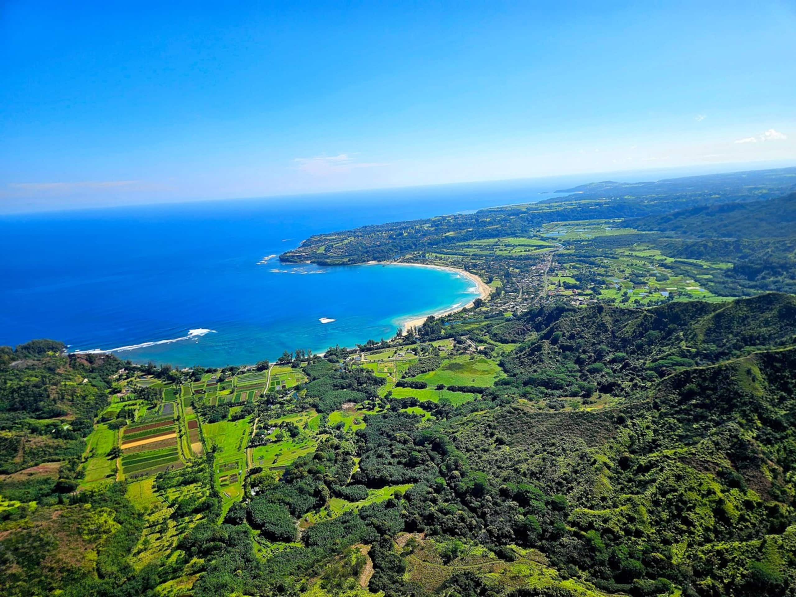Newly Remodeled Hawaii Paradise -North Shore Kauai - Photo 76