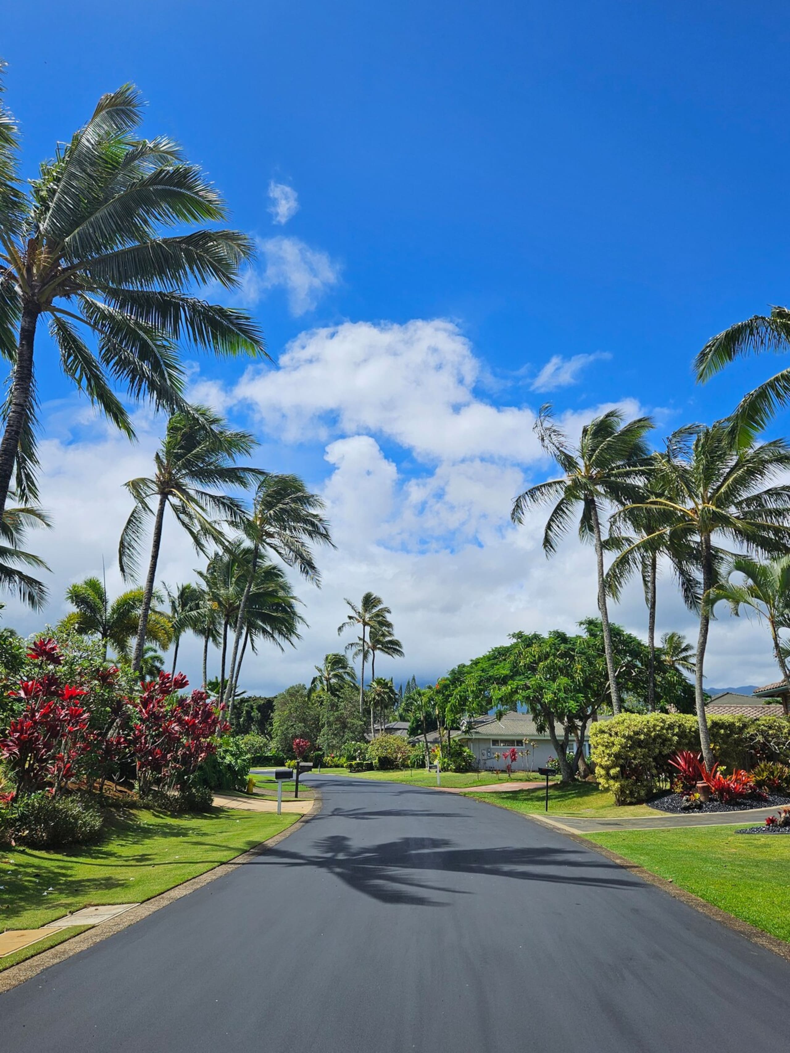 Newly Remodeled Hawaii Paradise -North Shore Kauai - Photo 84