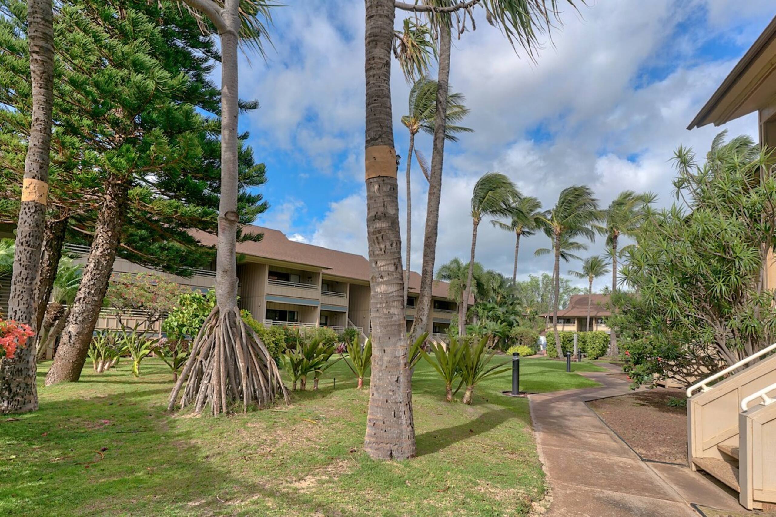 Ocean View Near Beach Pool Access A/C KBVA103 - Photo 44