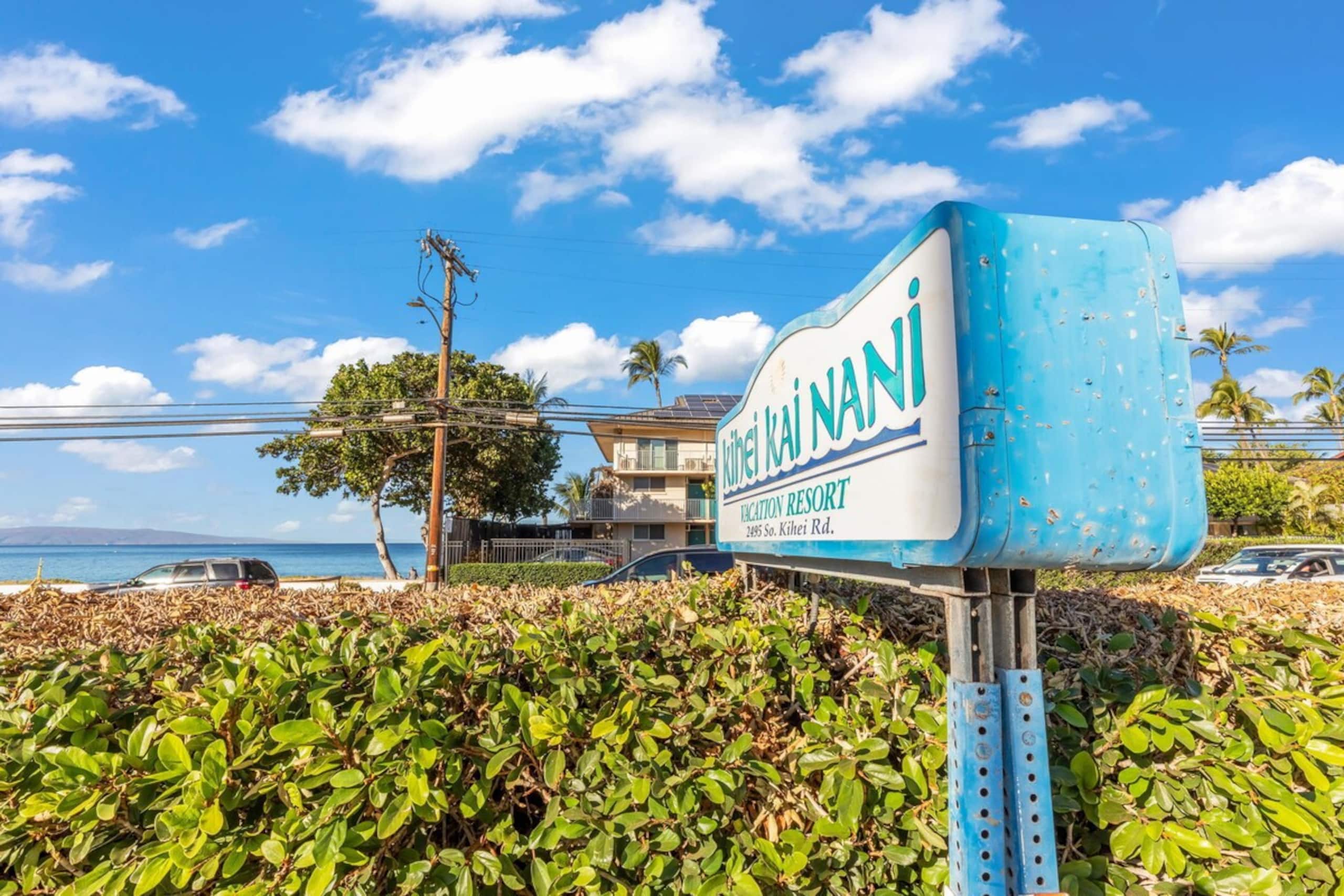 Spectacular Ocean & Beach Views 1 bdrm/ 1 bath - Photo 25