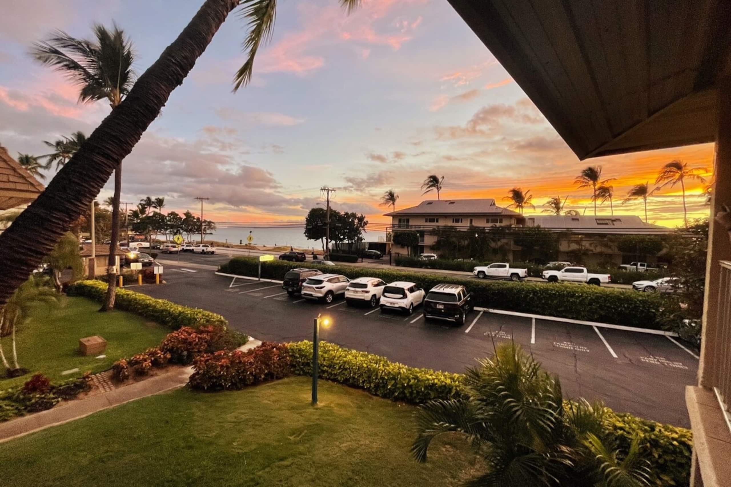 Spectacular Ocean & Beach Views 1 bdrm/ 1 bath - Photo 11