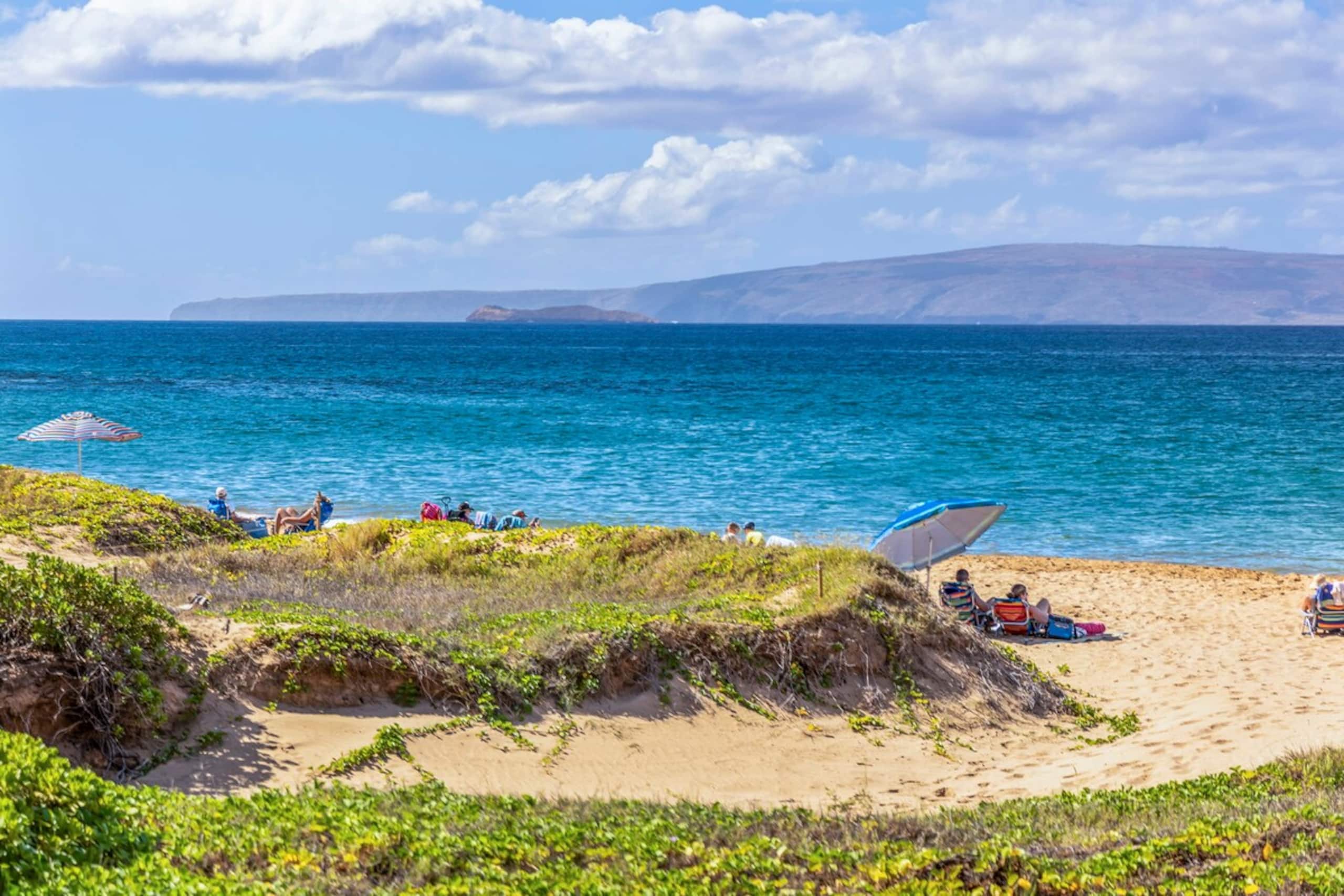 Spectacular Ocean & Beach Views 1 bdrm/ 1 bath - Photo 34
