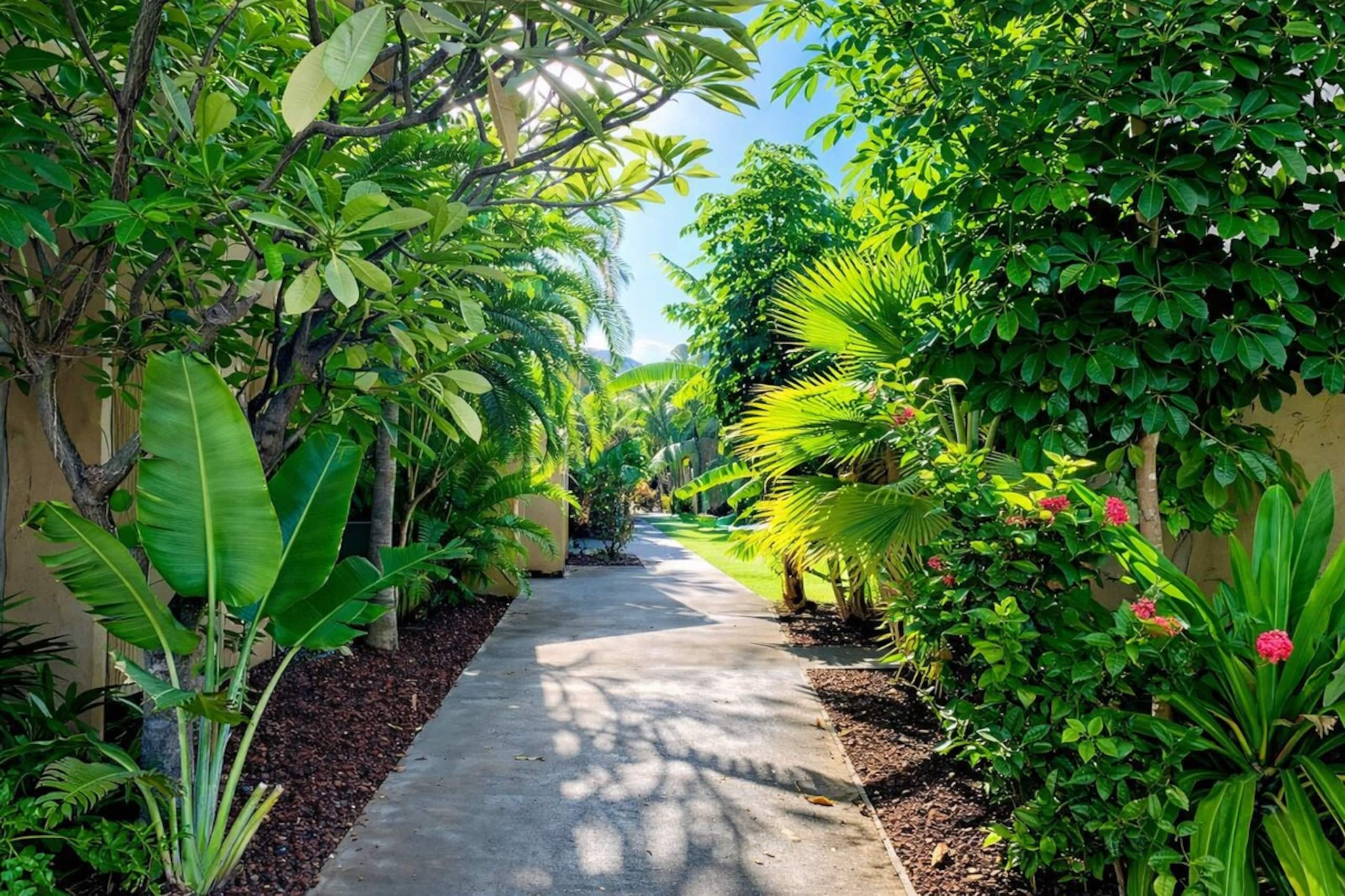 Maui Family Getaway, Walk 2 Beach, Pool, Sleeps 6 - Photo 47