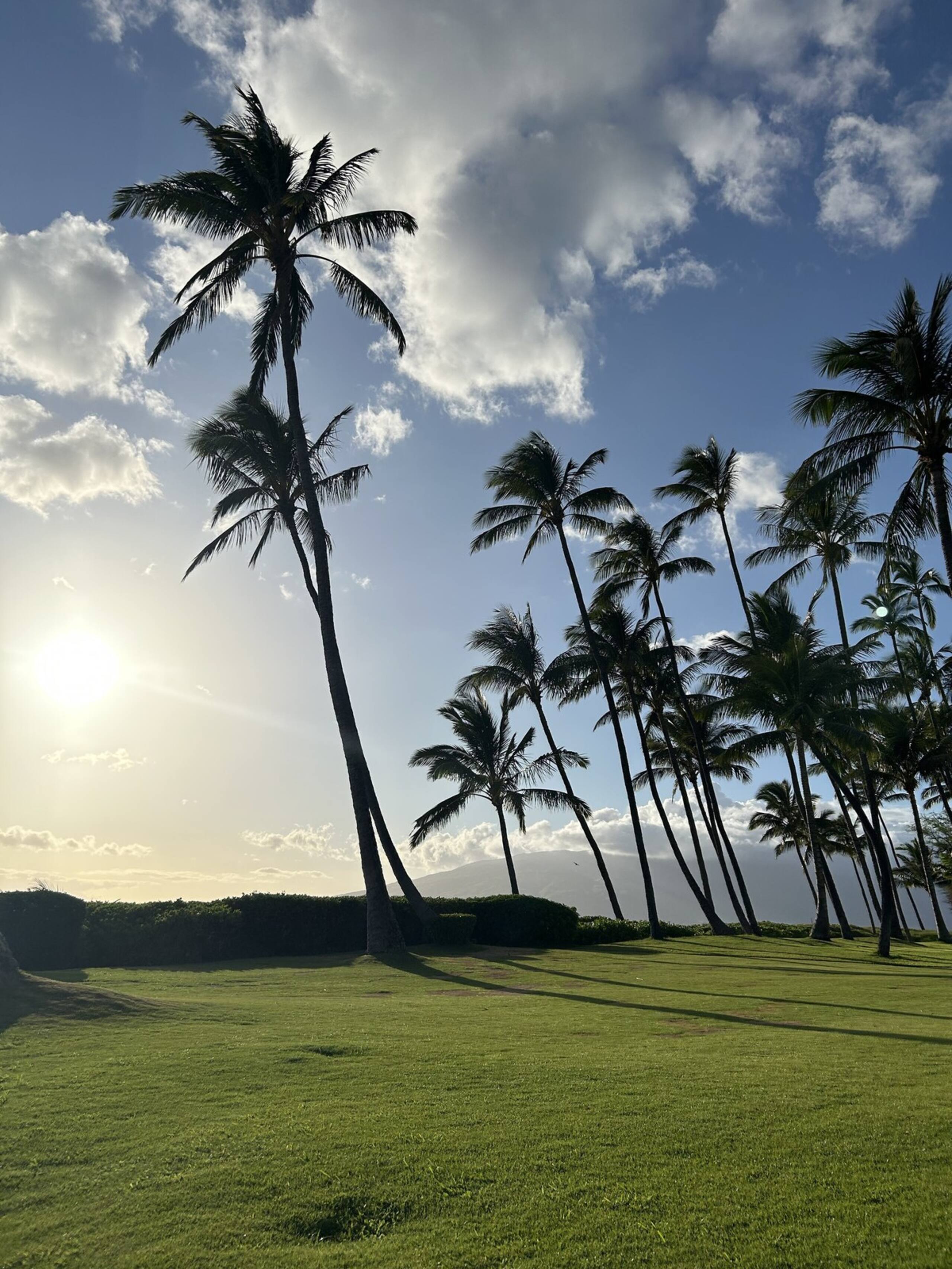 Maui Family Getaway, Walk 2 Beach, Pool, Sleeps 6 - Photo 27
