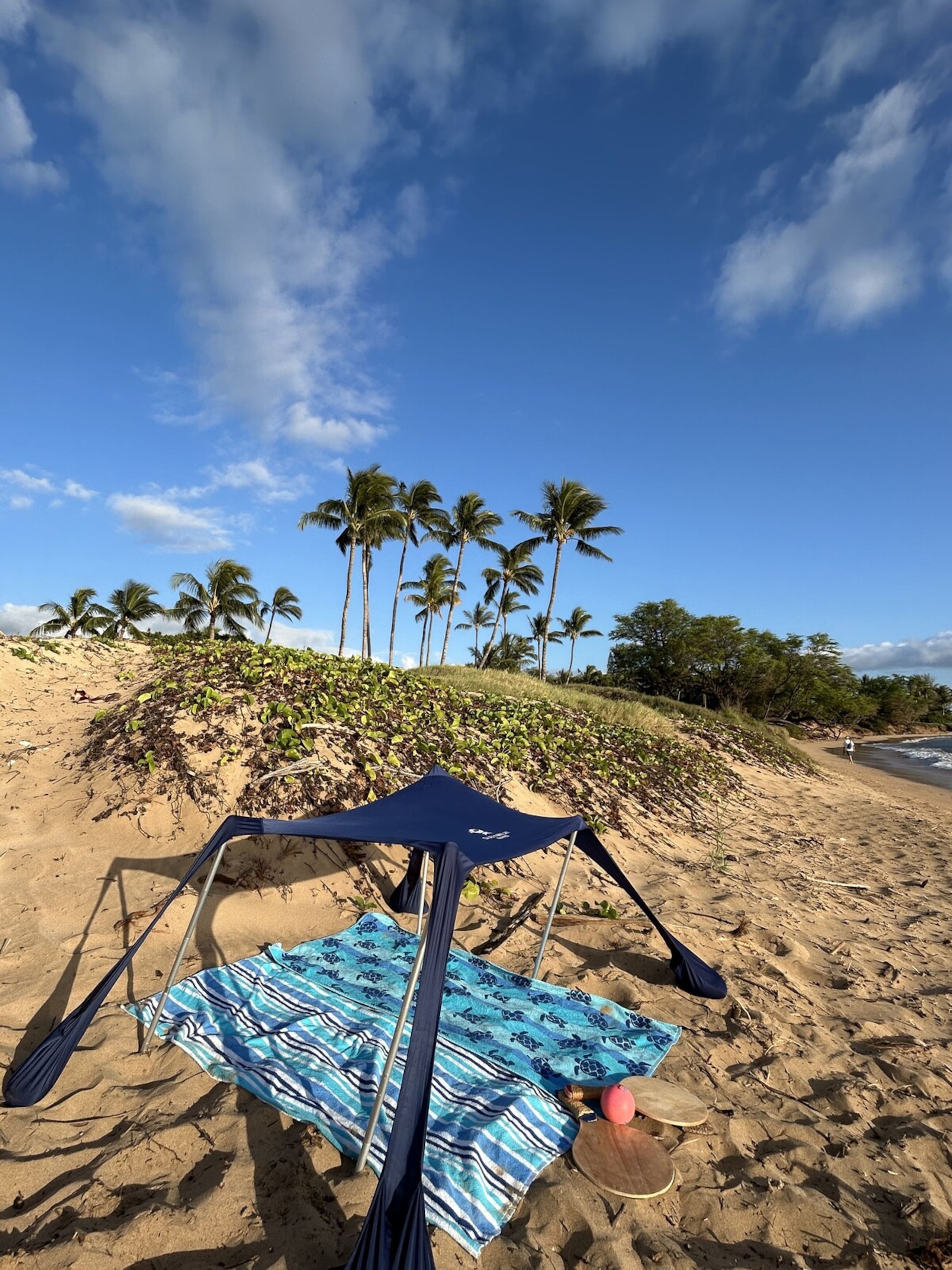 Maui Family Getaway, Walk 2 Beach, Pool, Sleeps 6 - Photo 26