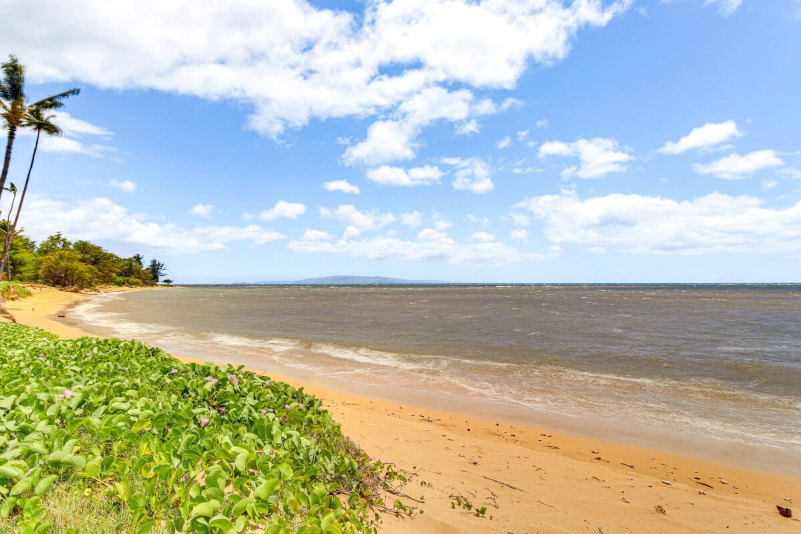 Gorgeous Oceanfront Condo with Spectacular Views - Photo 21
