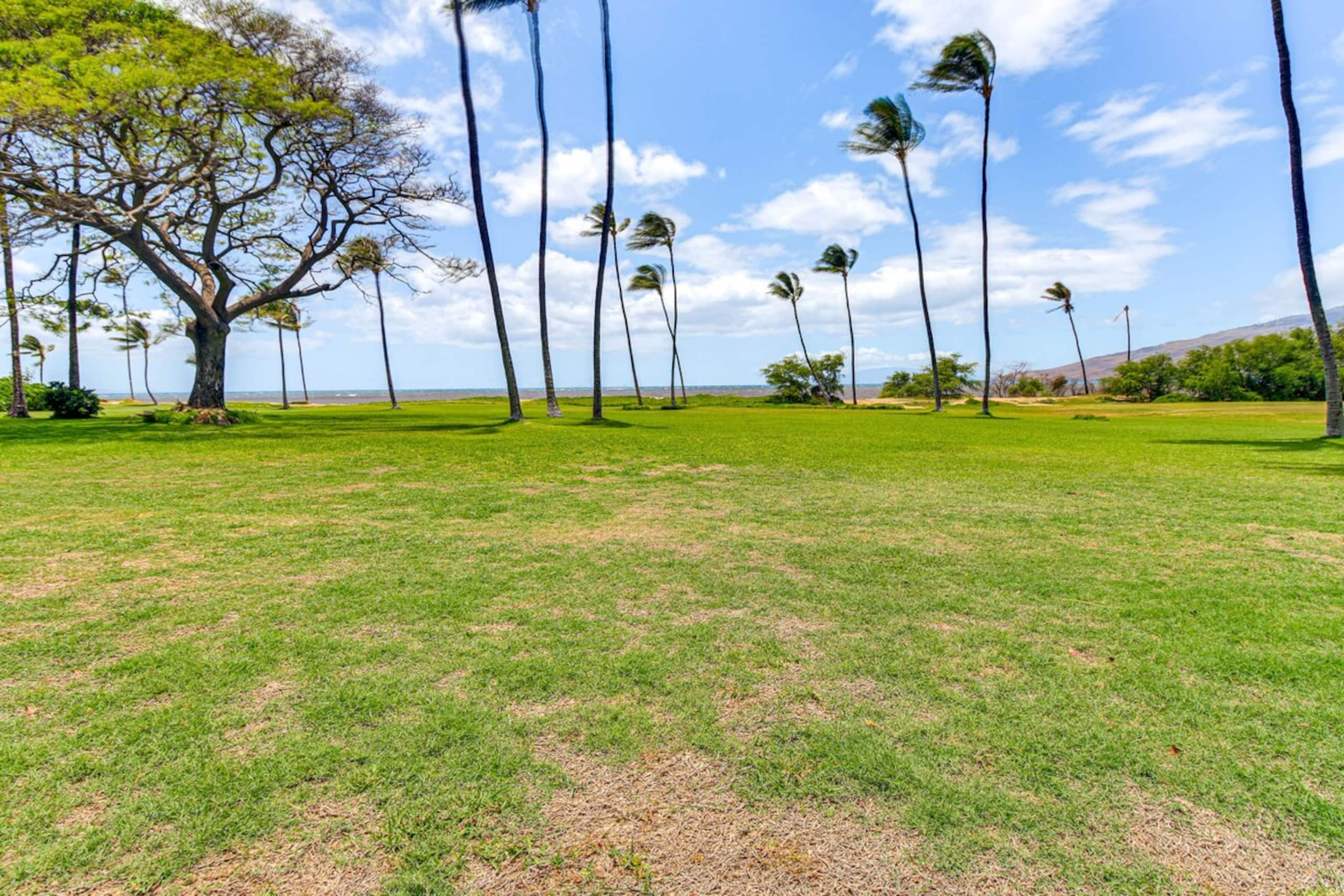 Gorgeous Oceanfront Condo with Spectacular Views - Photo 24
