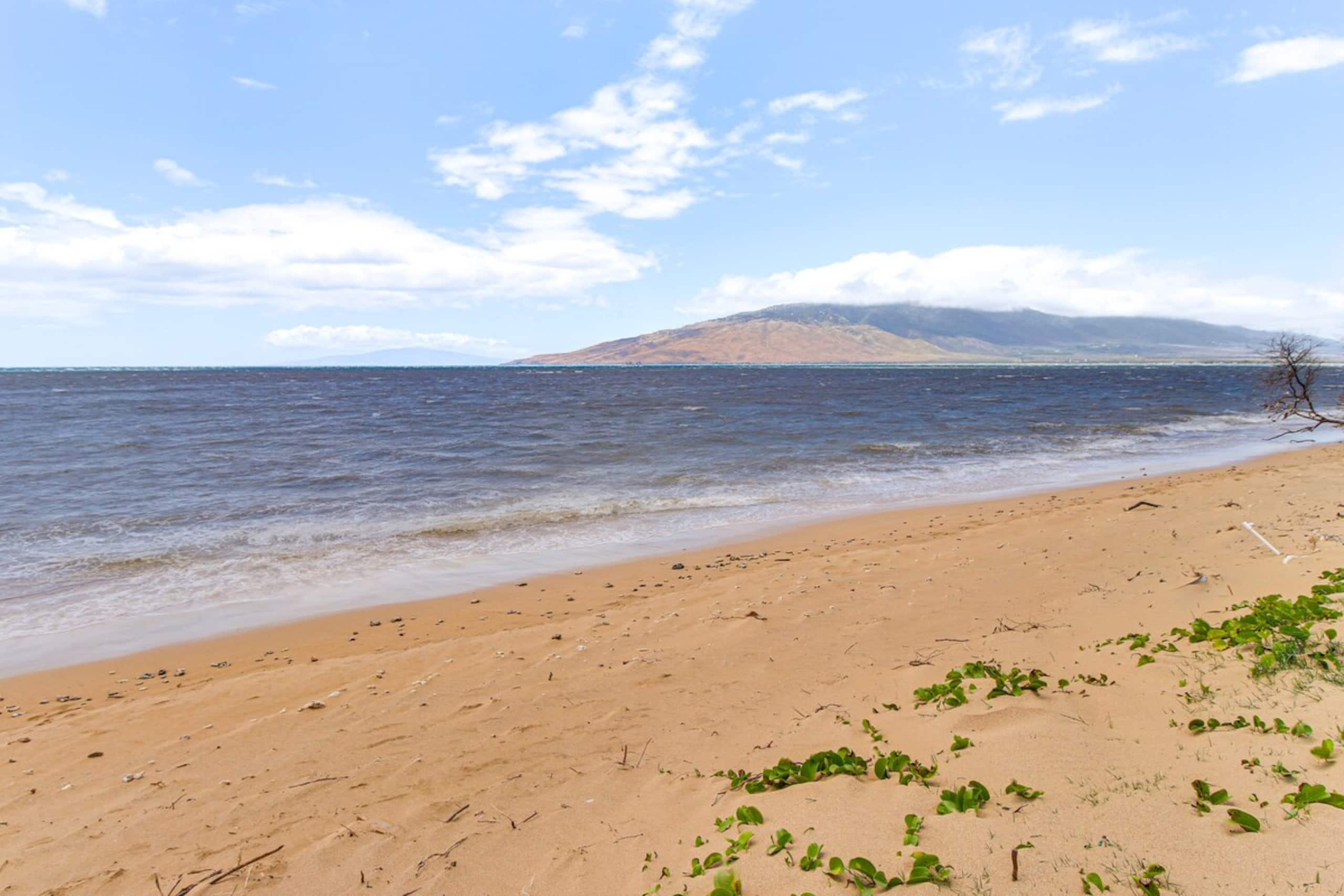 Gorgeous Oceanfront Condo with Spectacular Views - Photo 22