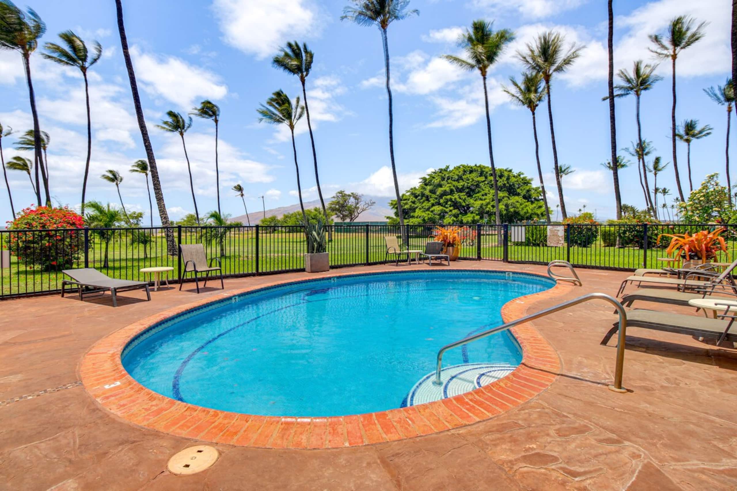 Gorgeous Oceanfront Condo with Spectacular Views - Main photo