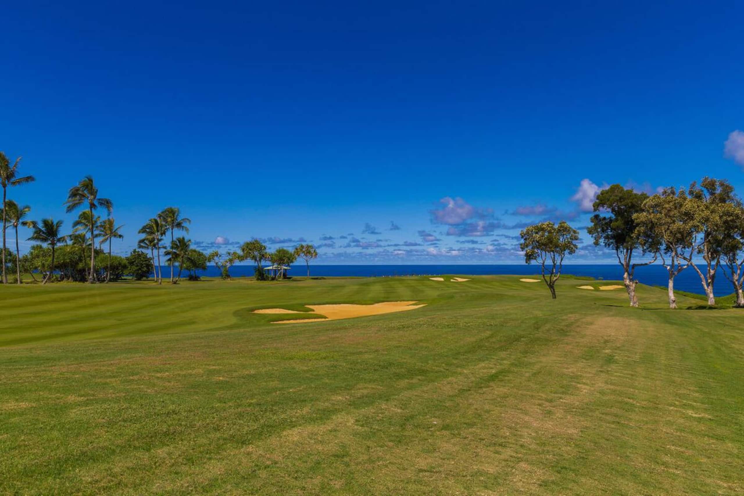 Pool & Spa, Ocean, Golf on the North Shore - Photo 23