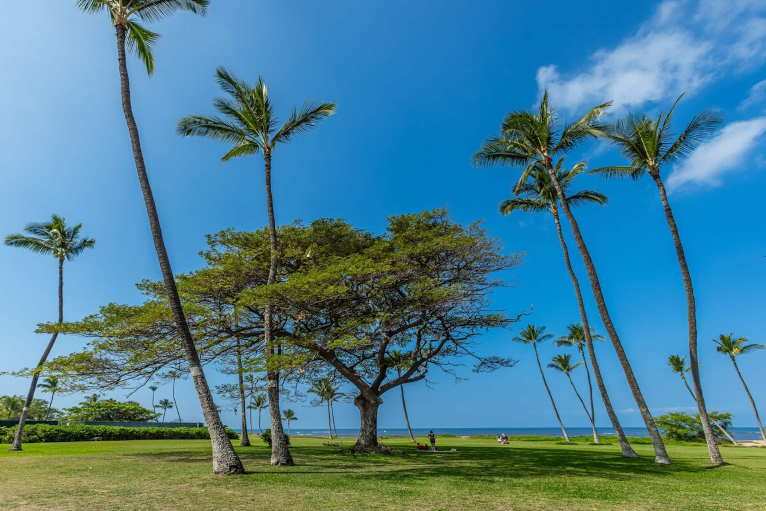 Oceanfront, Panoramic View, A/C, Free Wifi LEI205 - Photo 42