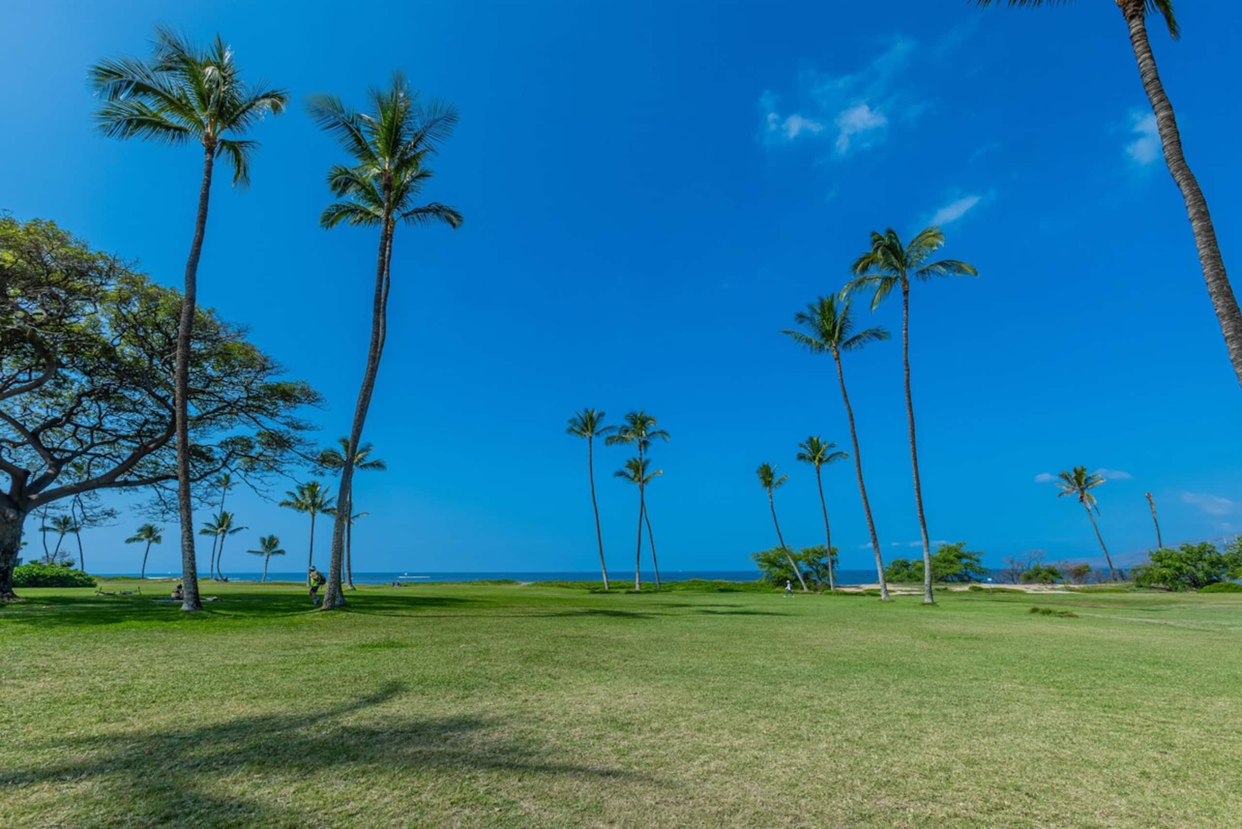 Oceanfront, Panoramic View, A/C, Free Wifi LEI205 - Photo 43