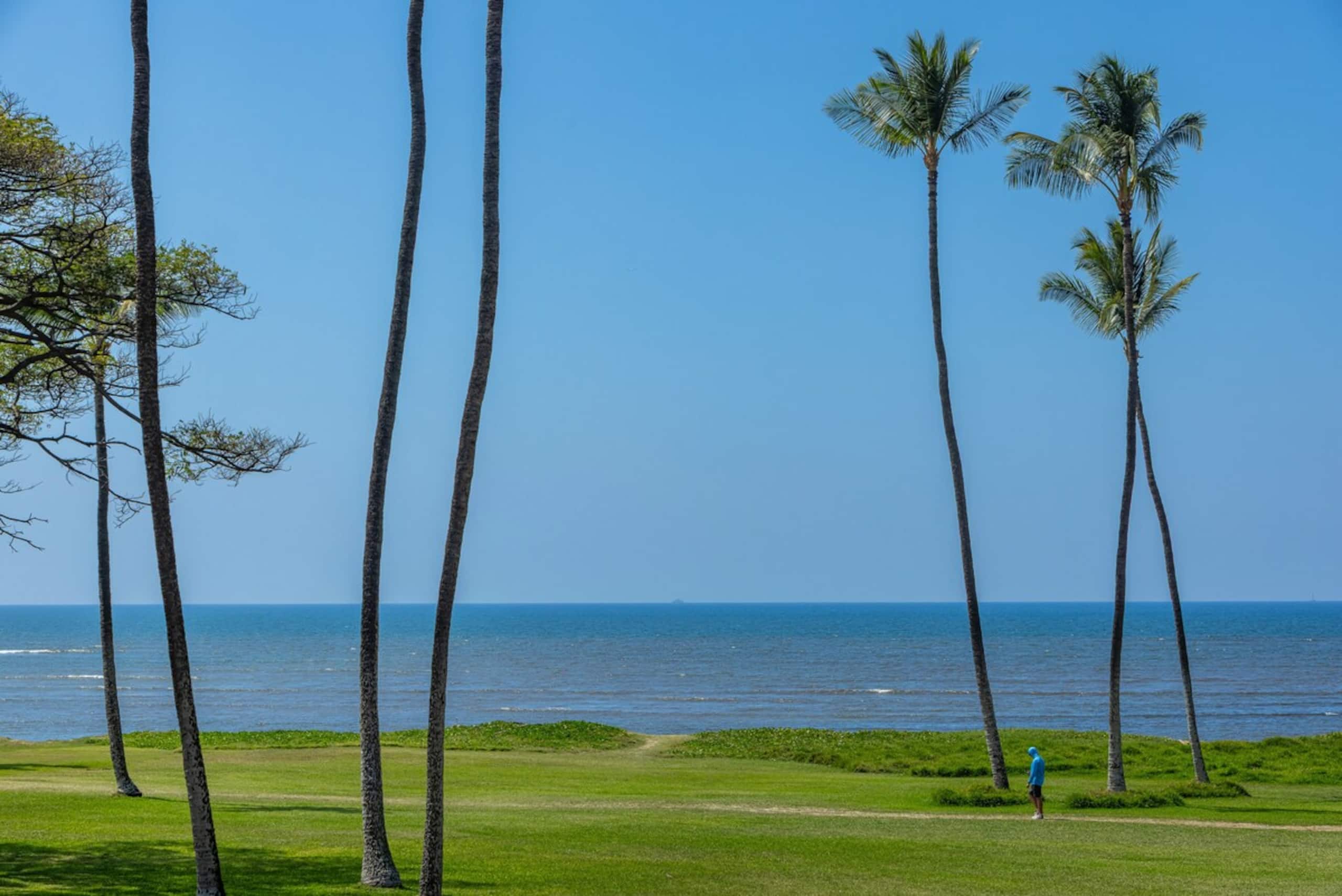 Oceanfront, Panoramic View, A/C, Free Wifi LEI205 - Photo 44