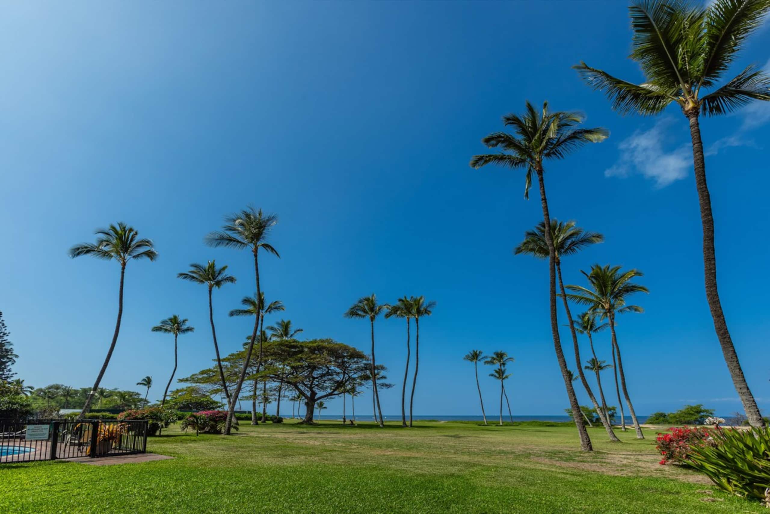Oceanfront, Panoramic View, A/C, Free Wifi LEI205 - Photo 37
