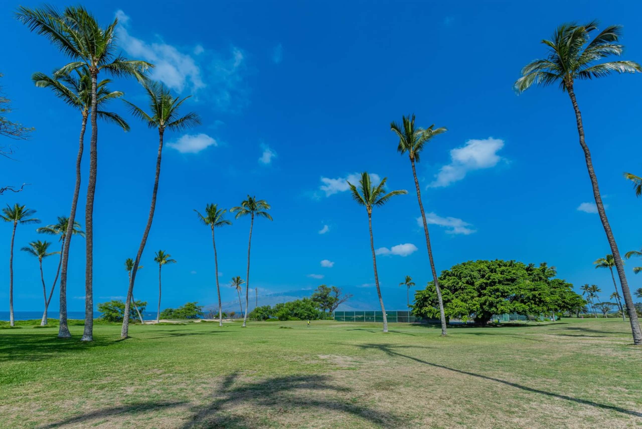 Oceanfront, Panoramic View, A/C, Free Wifi LEI205 - Photo 38