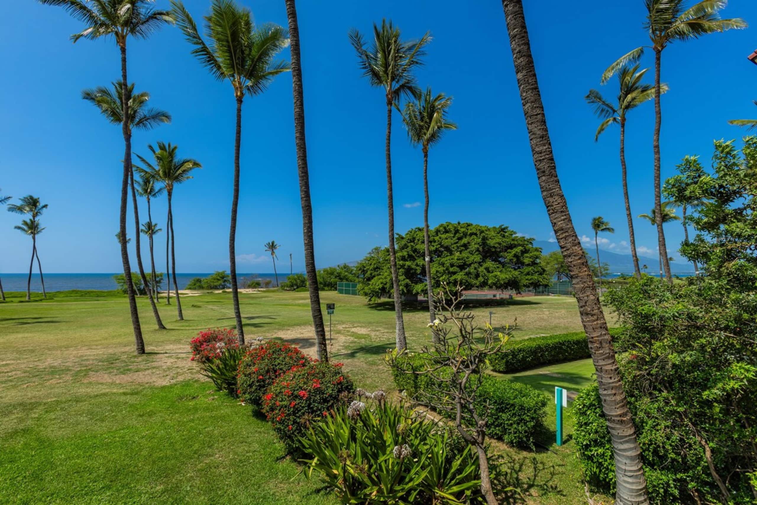 Oceanfront, Panoramic View, A/C, Free Wifi LEI205 - Photo 50