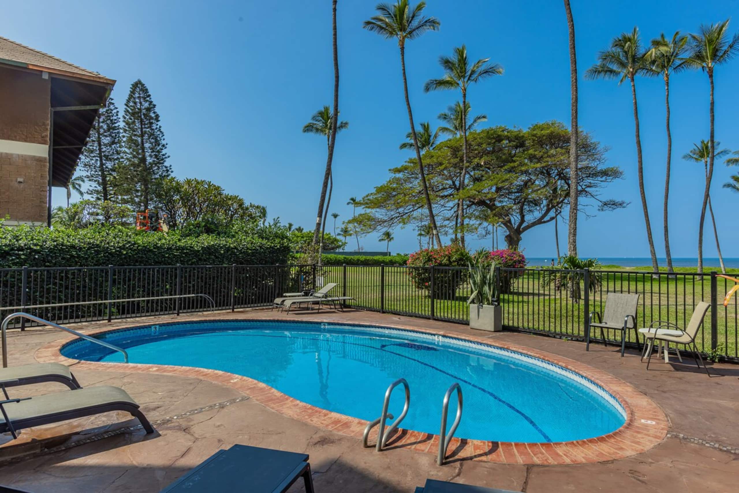 Oceanfront, Panoramic View, A/C, Free Wifi LEI205 - Photo 39