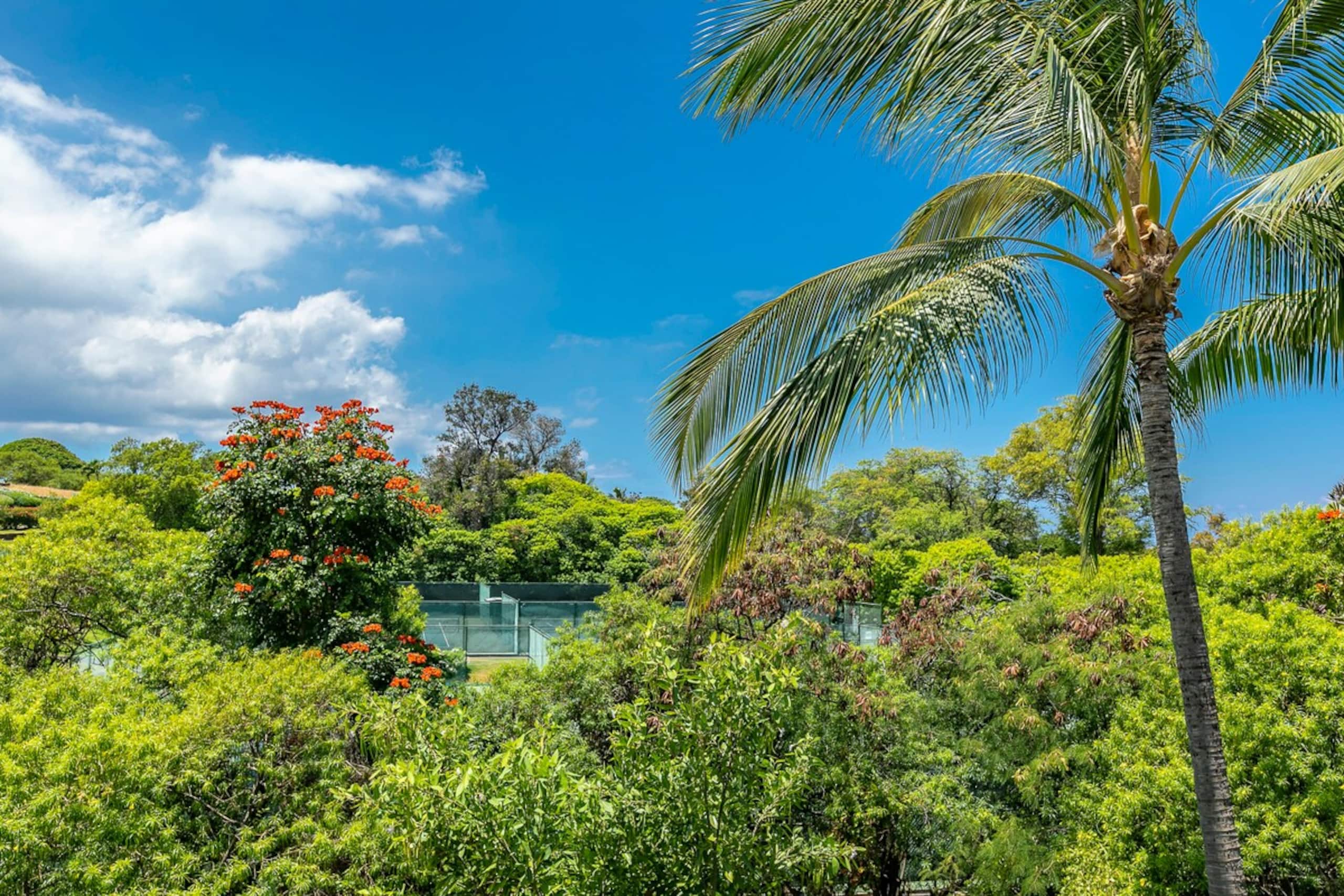 Golf front condo in Wailea w/ Haleakala views - Photo 3