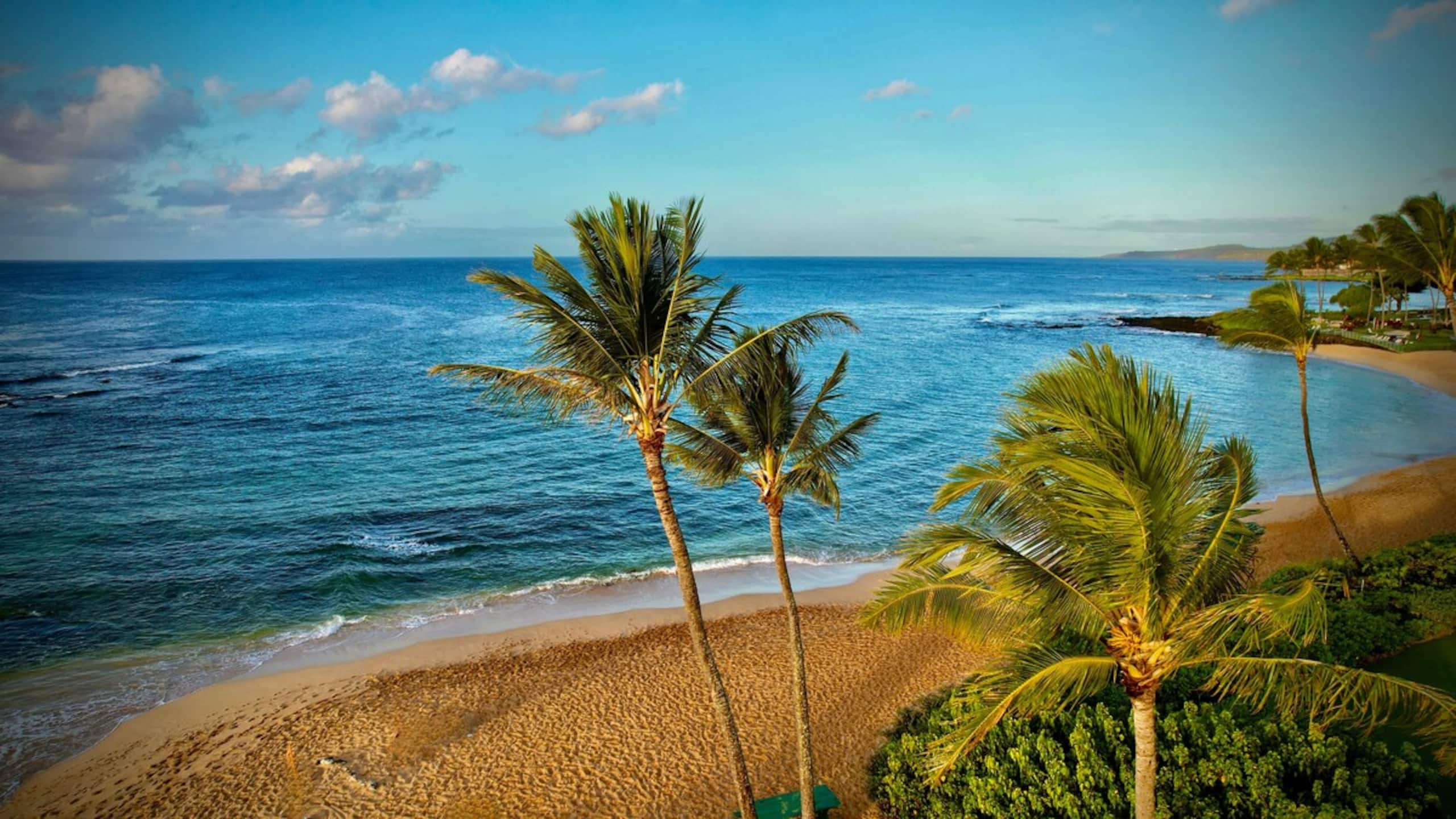 Aloha Escape, Oceanview, Newly Updated - Photo 49