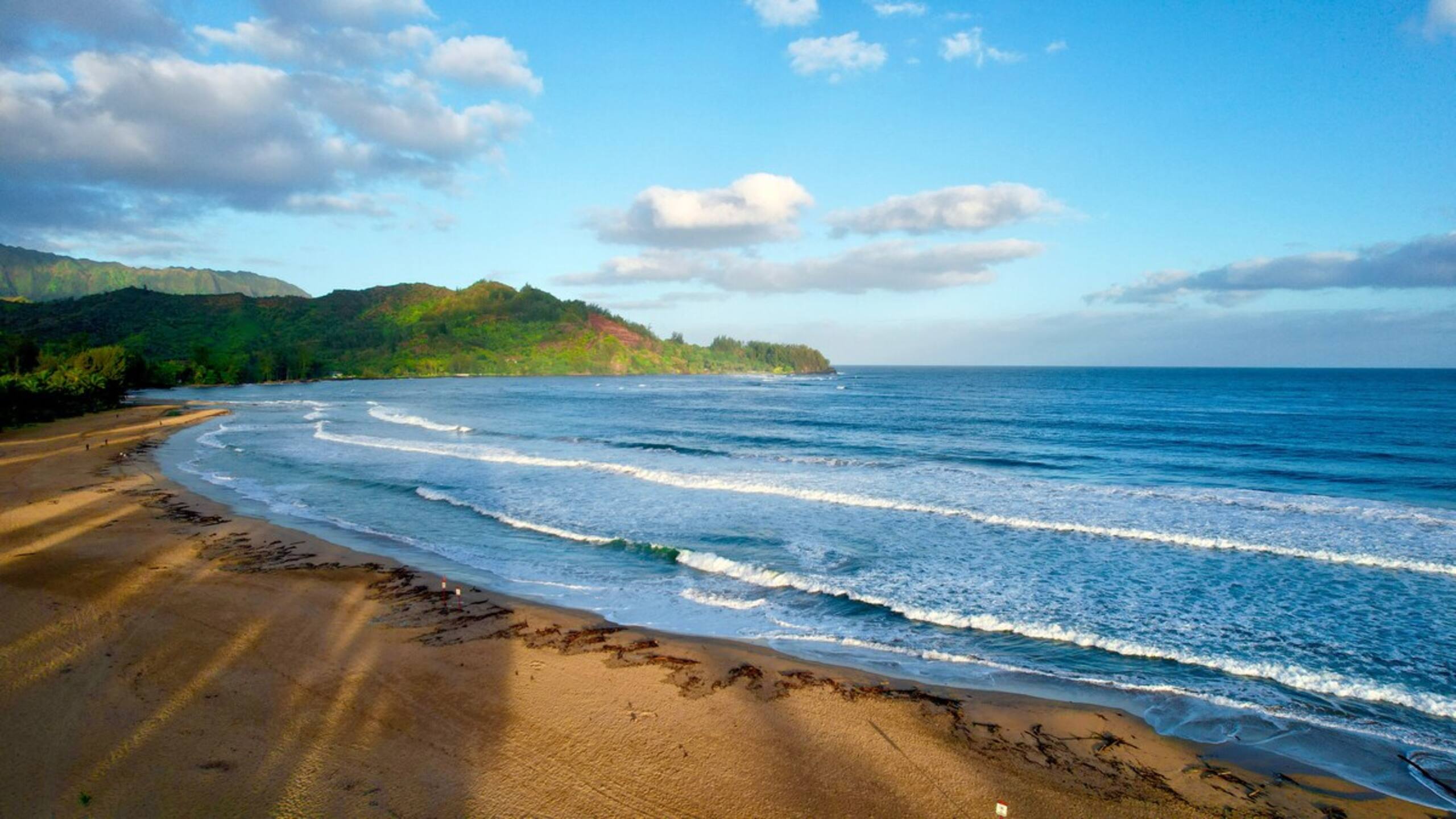 Aloha Escape, Oceanview, Newly Updated - Photo 48
