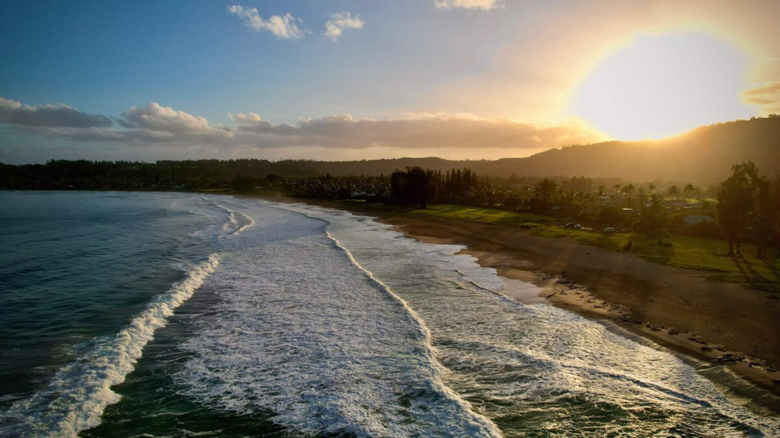 Aloha Escape, Oceanview, Newly Updated - Photo 44