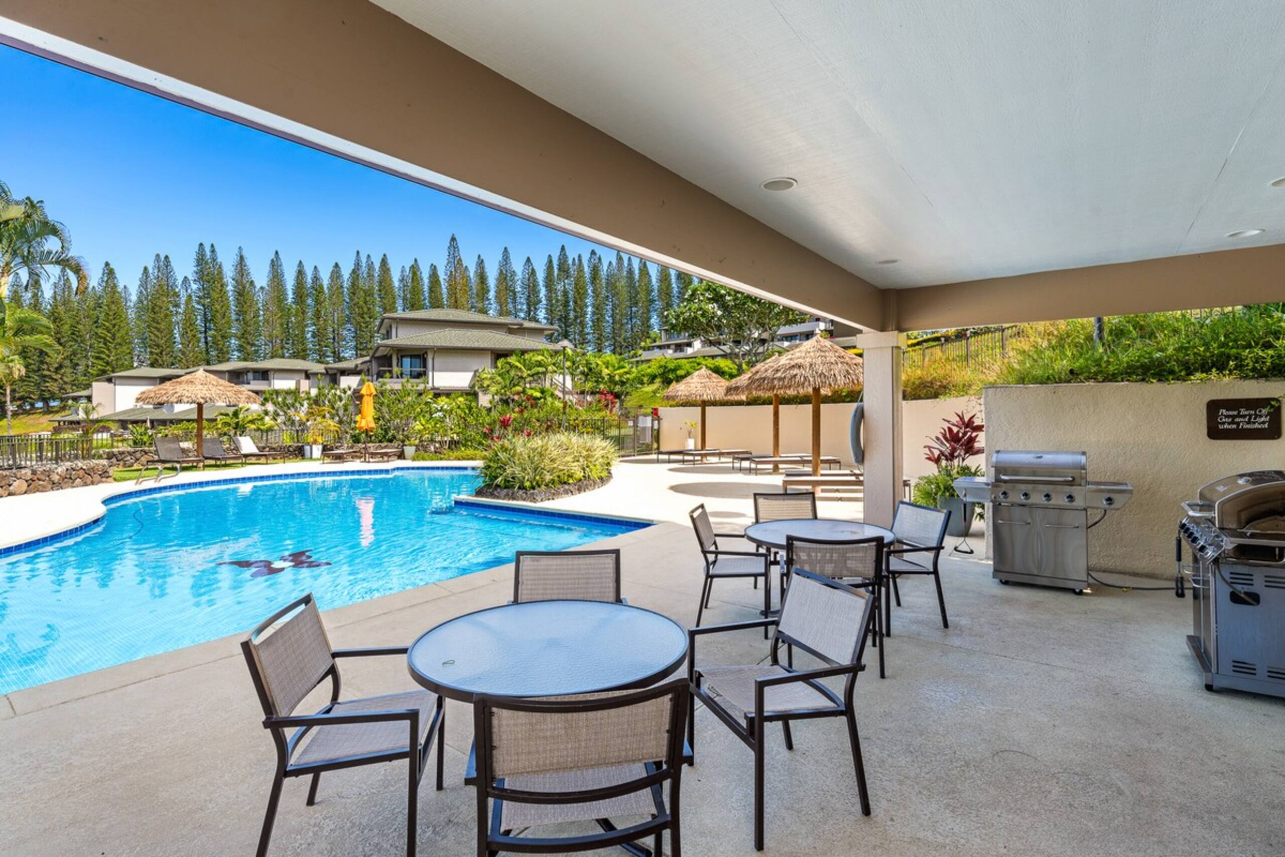 Relaxation in Kapalua-Specials - Photo 16