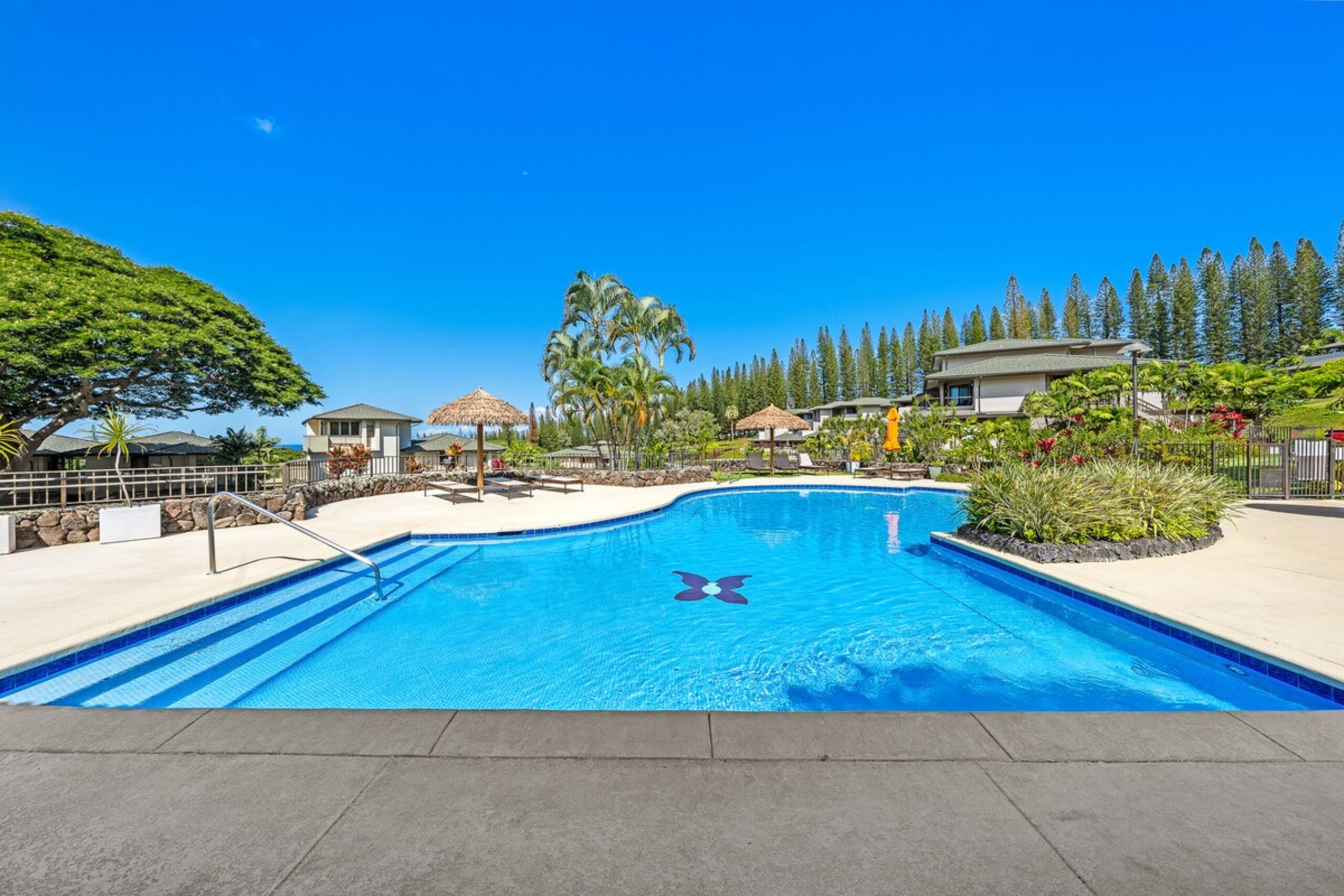 Relaxation in Kapalua-Specials - Photo 25
