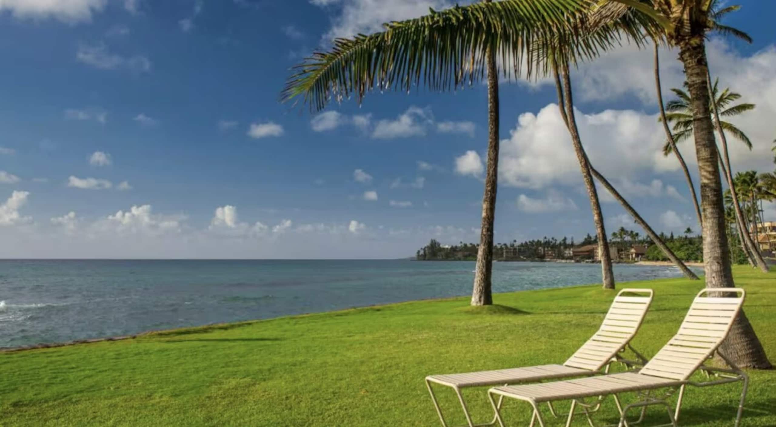 Ocean View 1-Bedroom Papakea Resort Maui Paradise - Photo 36