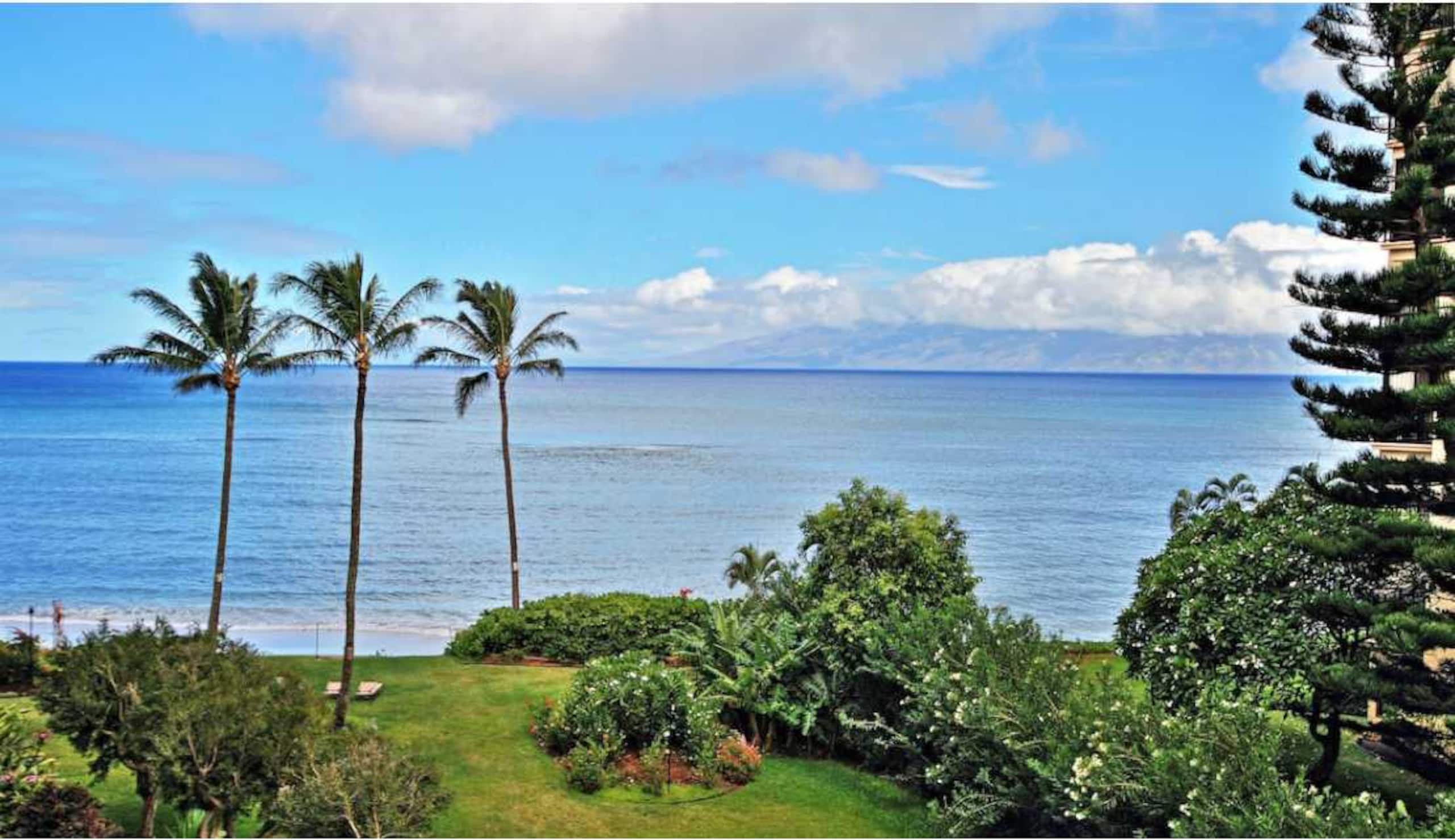 Kahana Oceanfront Gem w. Gym & Pool, AC Comfort - Photo 18