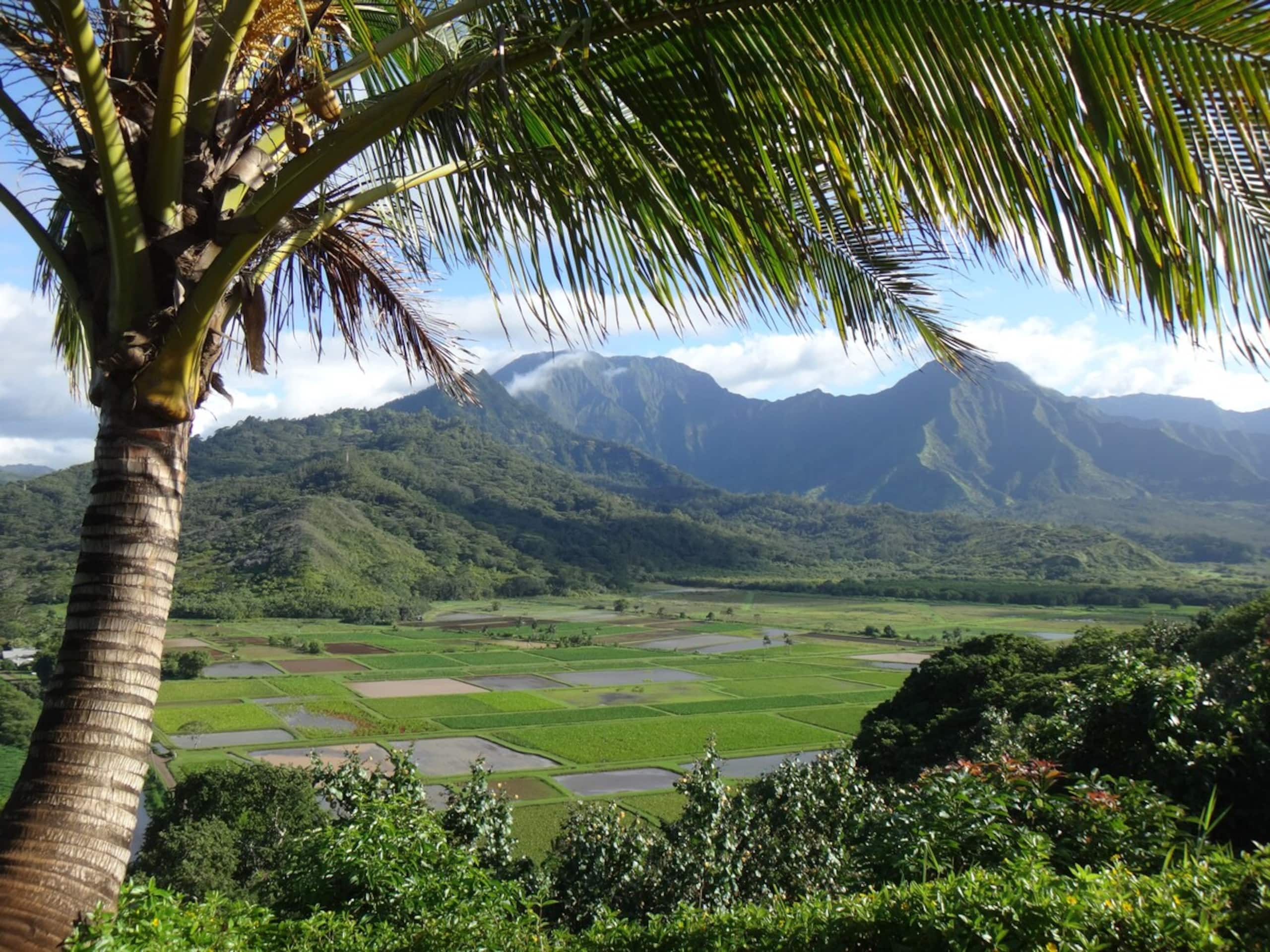 Luxury Nihilani North Shore Condo 2bd/2ba with A/C - Photo 13