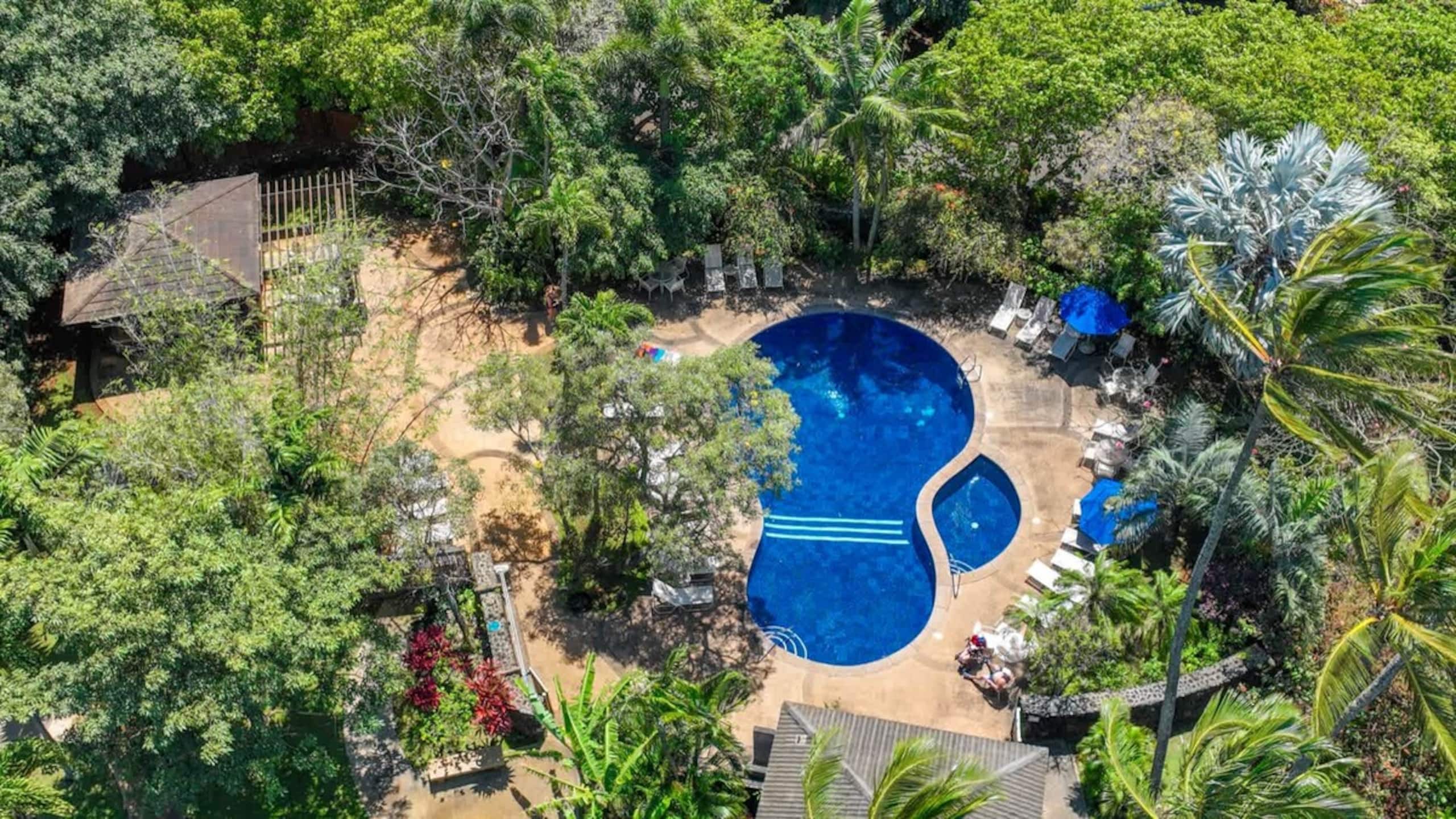 1 Bed 1st Floor w/ A/C Pool, and Tropical Grounds - Photo 25