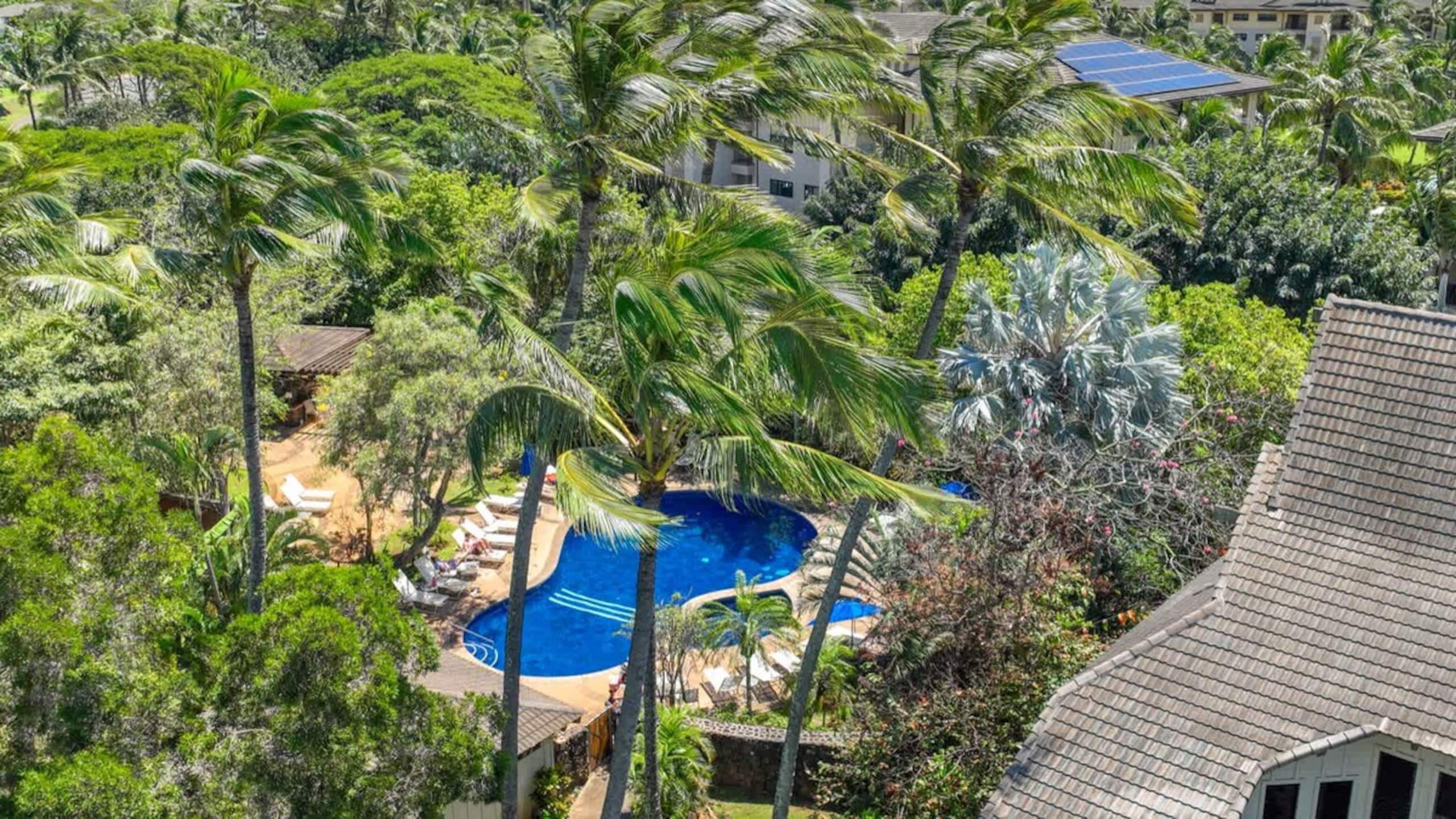 1 Bed 1st Floor w/ A/C Pool, and Tropical Grounds - Photo 26