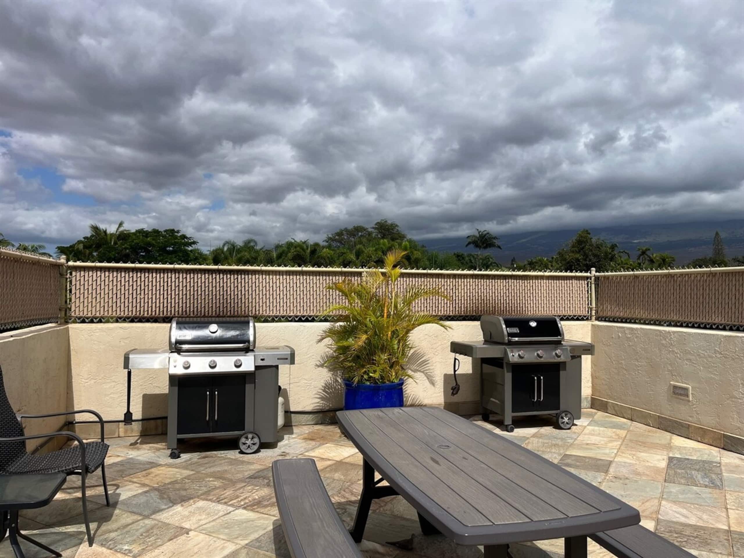 Oceanview Penthouse: Peaceful Upscale Escape, View - Photo 3