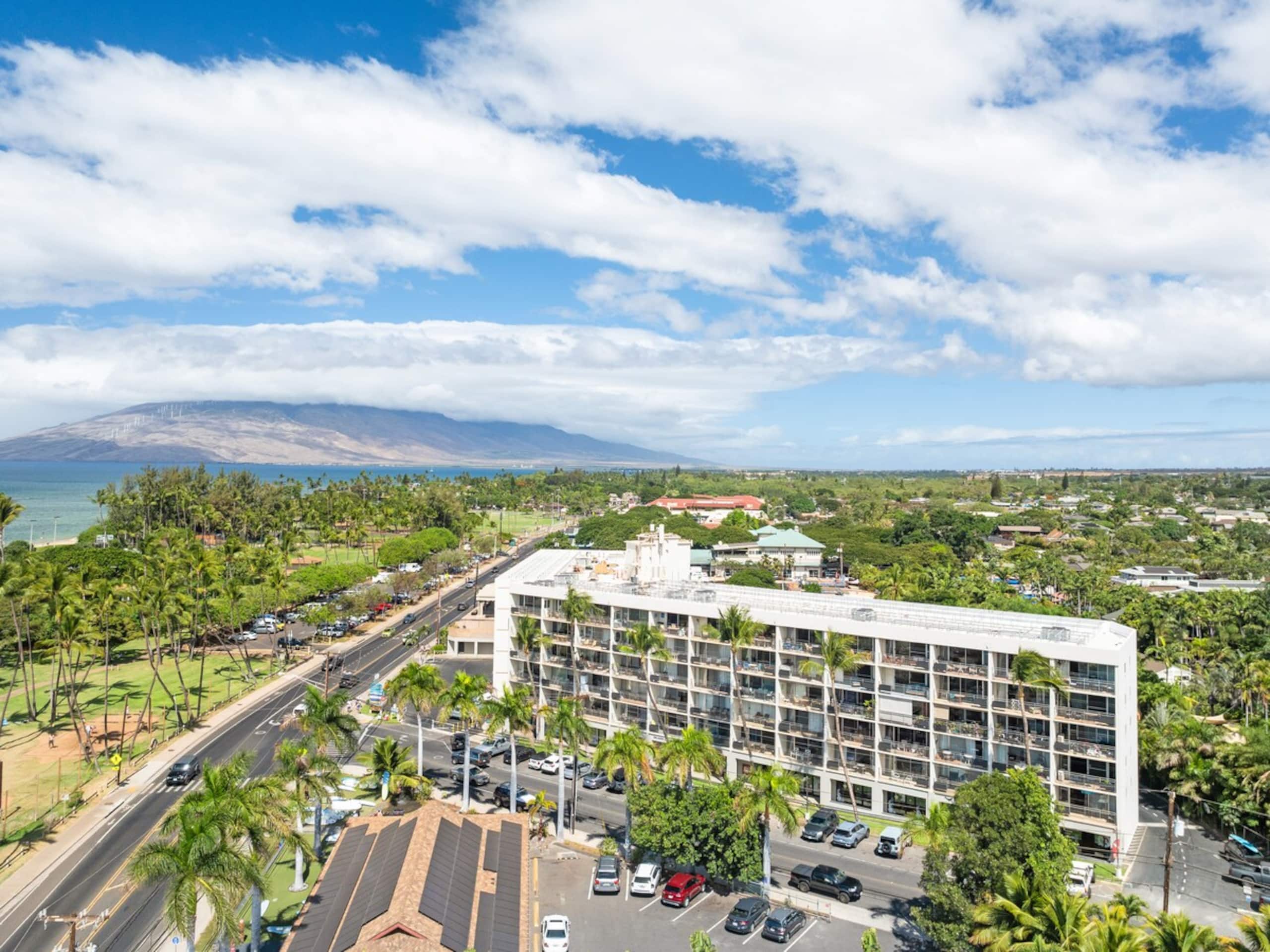 Spread Aloha: Ocean Views, Artist Inspired Oasis - Photo 69