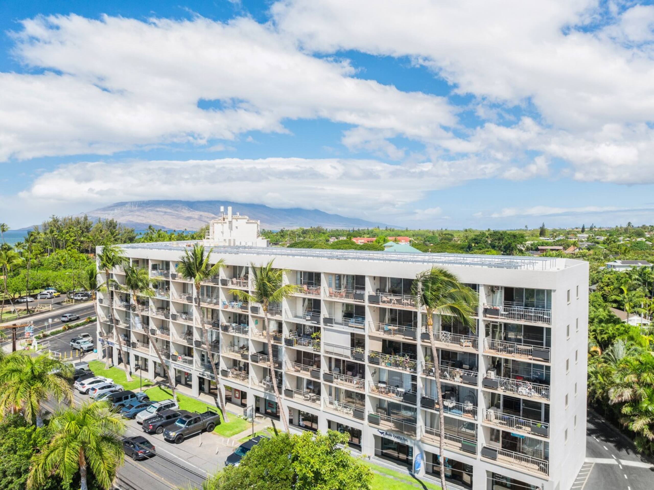 Spread Aloha: Ocean Views, Artist Inspired Oasis - Photo 73