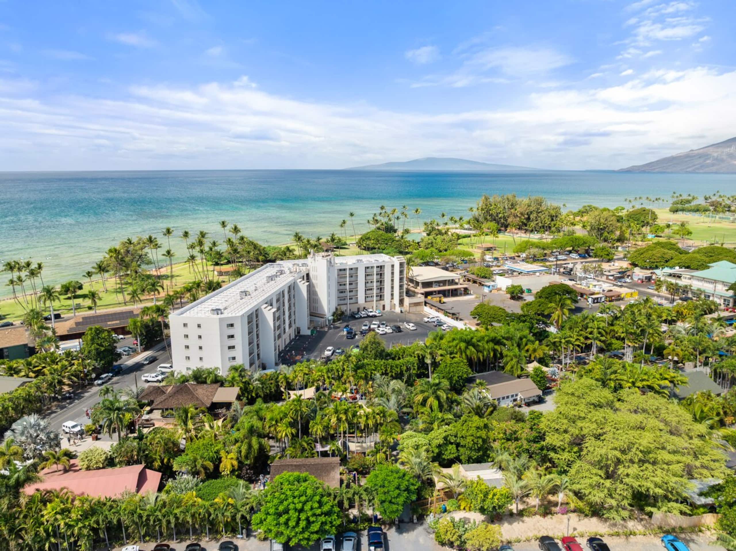 Spread Aloha: Ocean Views, Artist Inspired Oasis - Photo 70