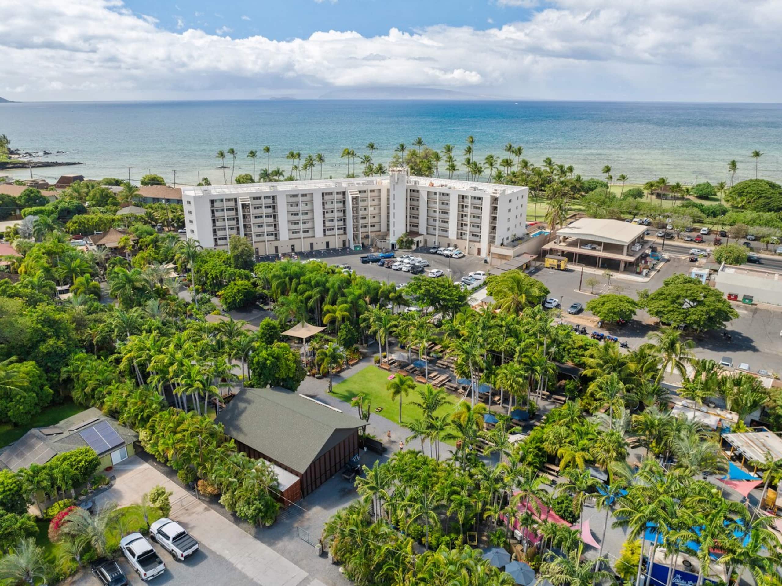 Spread Aloha: Ocean Views, Artist Inspired Oasis - Photo 65