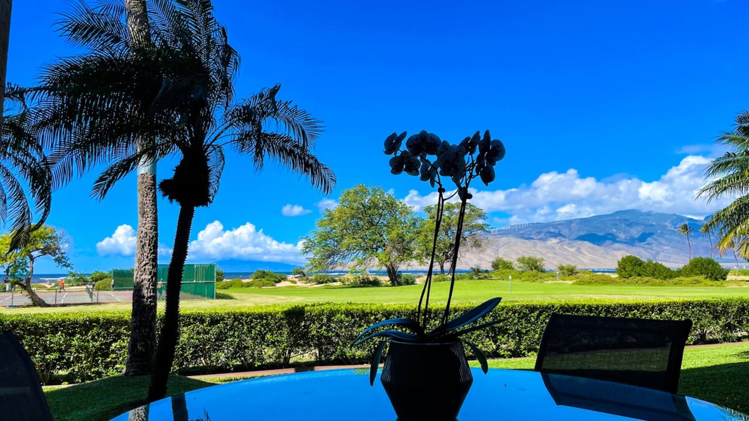 Gorgeous,2 bd, Ocean, AC,wifi,pool, hot tub D104 - Main photo